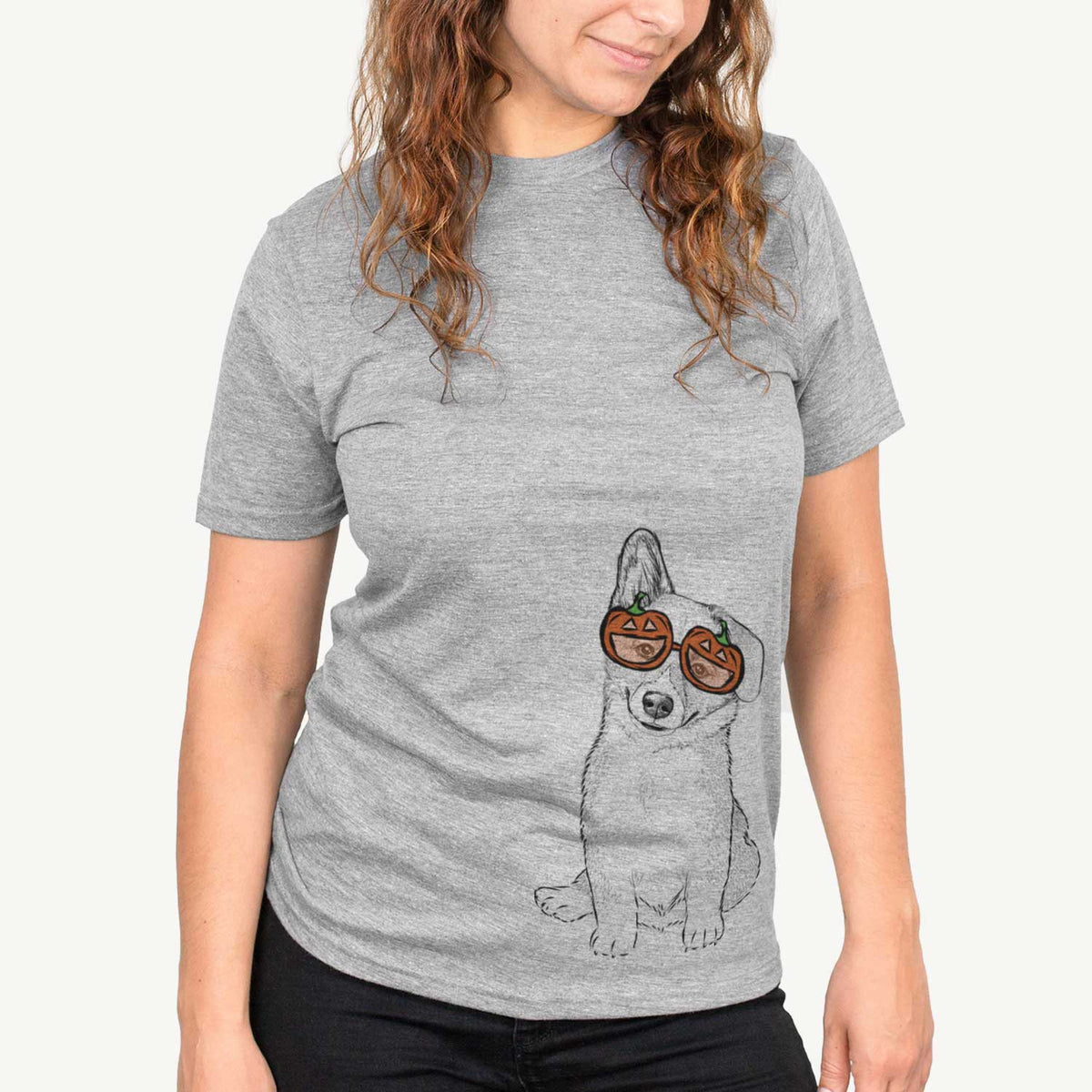 Toby the Corgi Puppy  - Pumpkin Collection