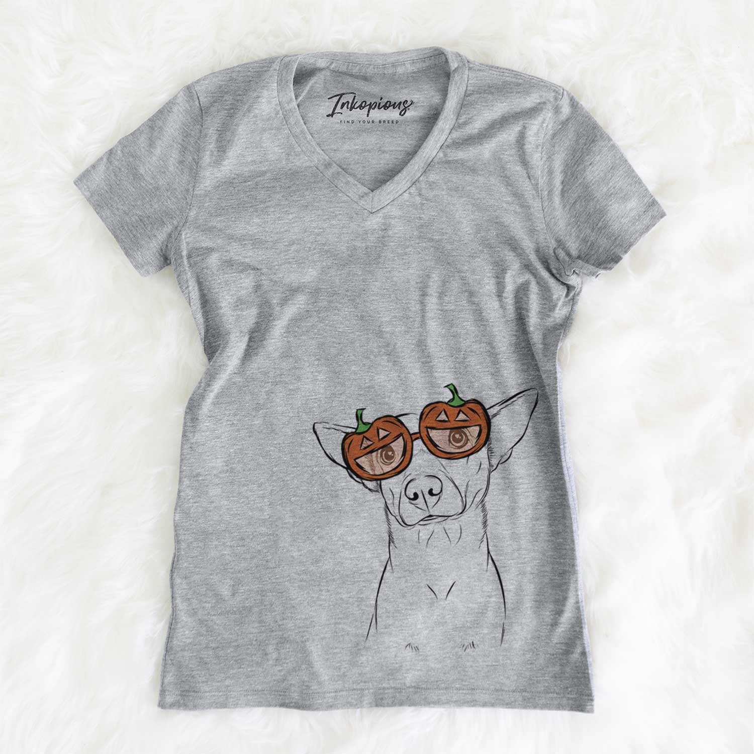 Yogi the Mixed Breed  - Pumpkin Collection