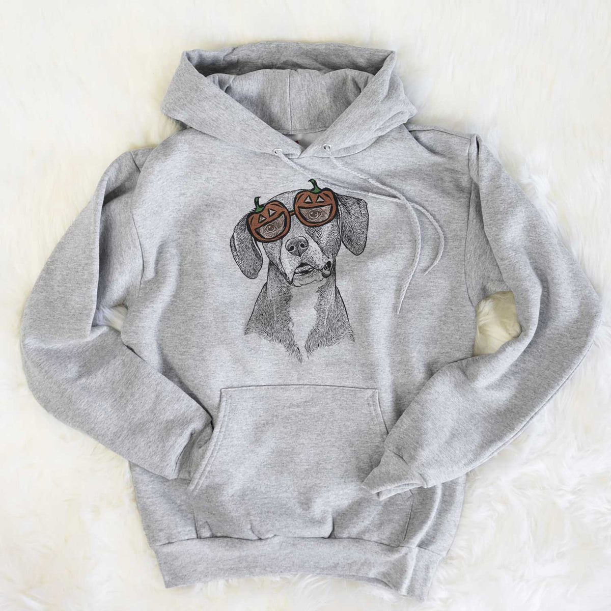 Zeena the Plott Hound Mix  - Pumpkin Collection