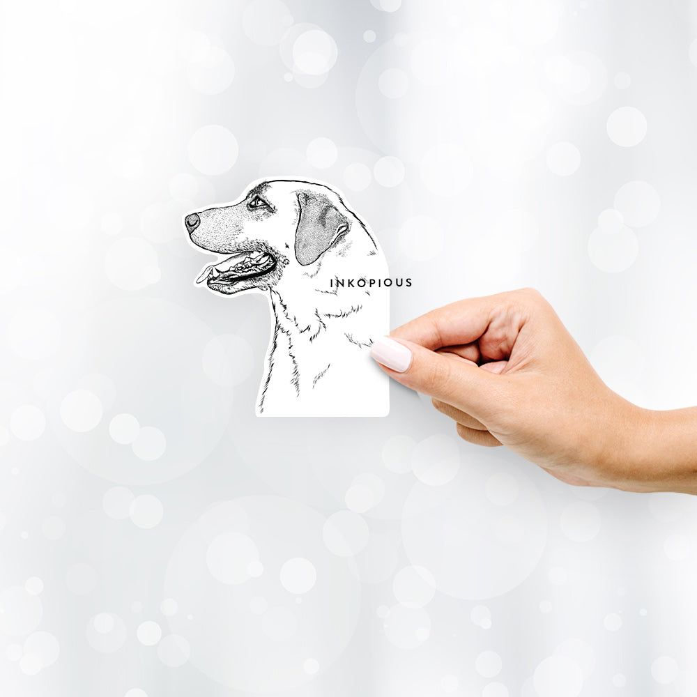 Profile Anatolian Shepherd - Decal Sticker