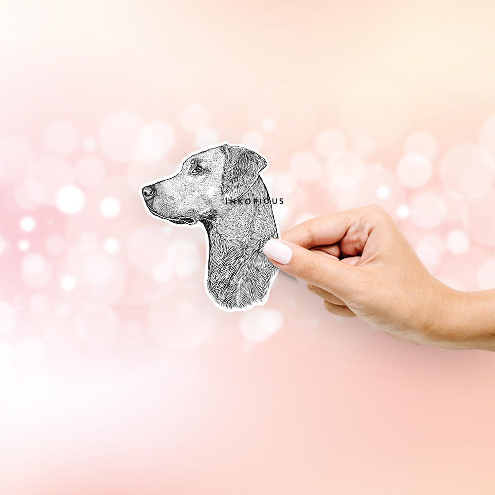 Profile Rhodesian Ridgeback - Decal Sticker – Inkopious