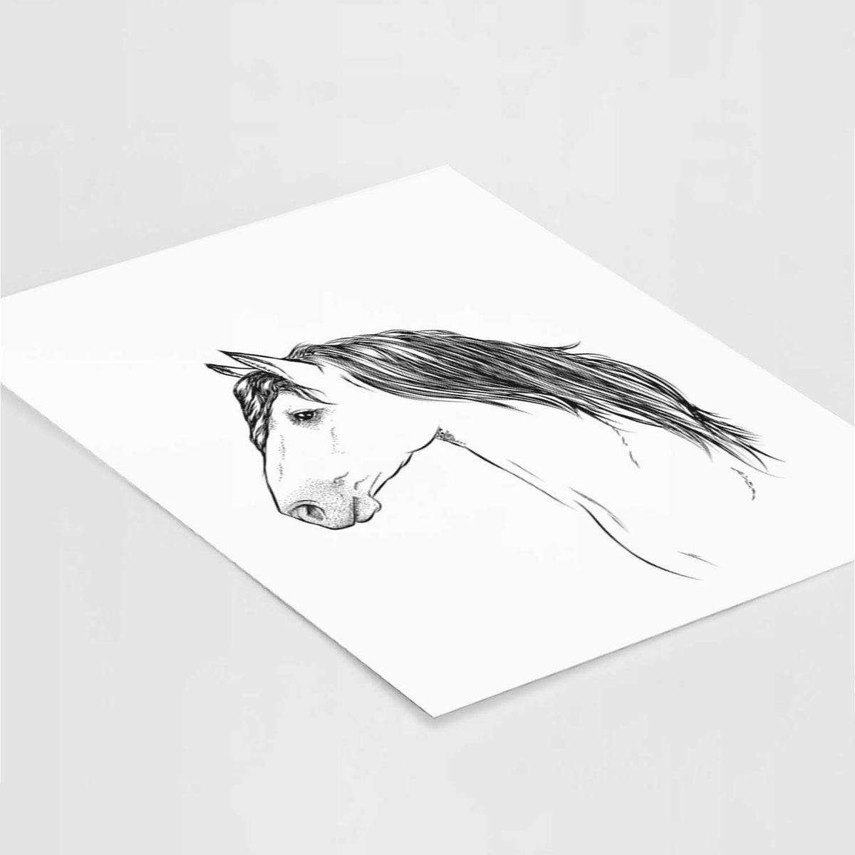 Profile Buckskin Horse Art Print
