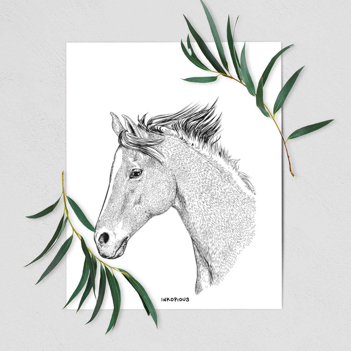 Profile Foal Art Print