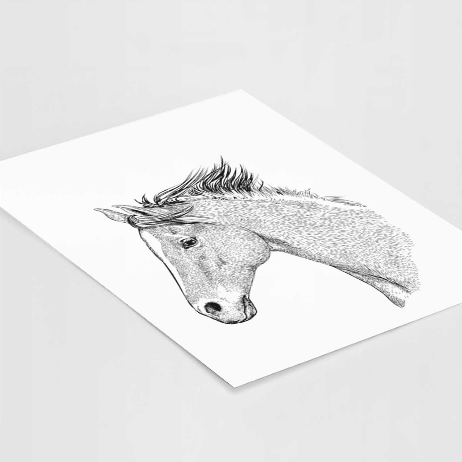 Profile Foal Art Print