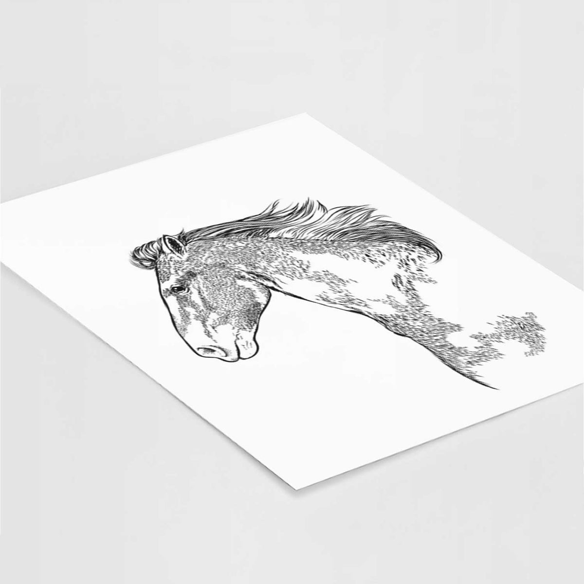 Profile Paint Horse Art Print