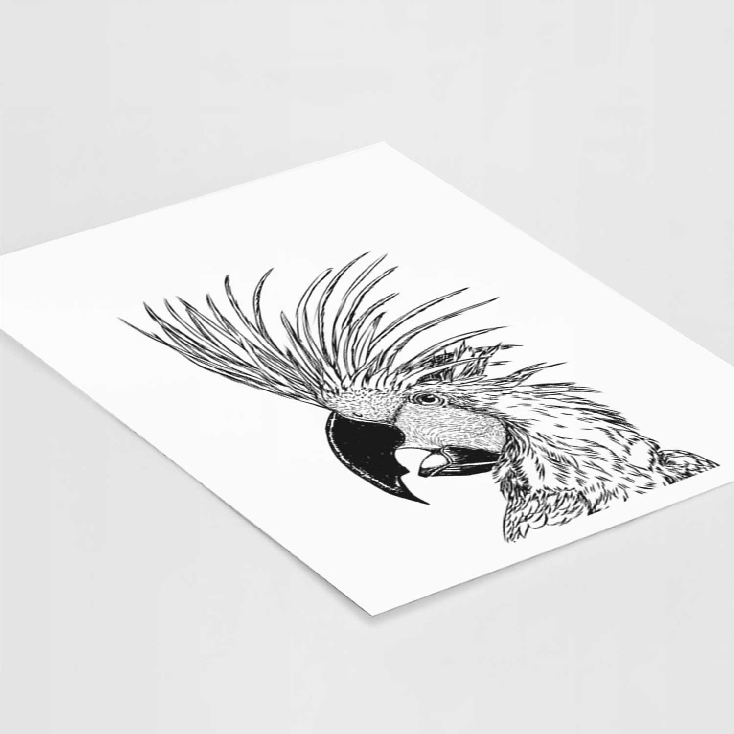 Profile Palm Cockatoo Art Print