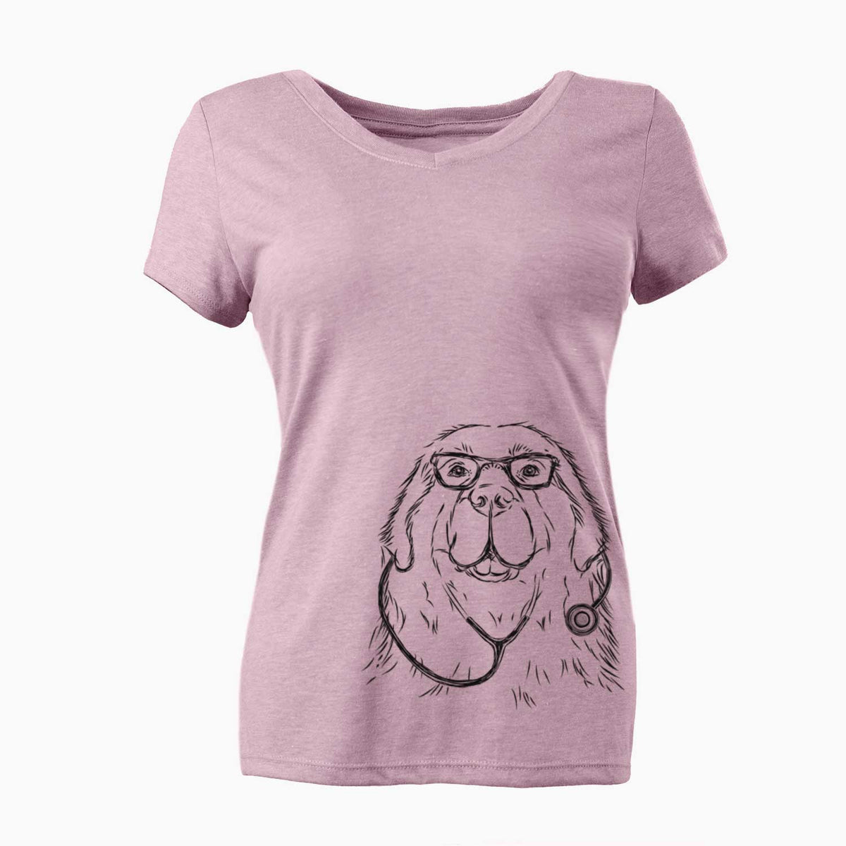 Boomer the Newfoundland - Women's V-neck Shirt