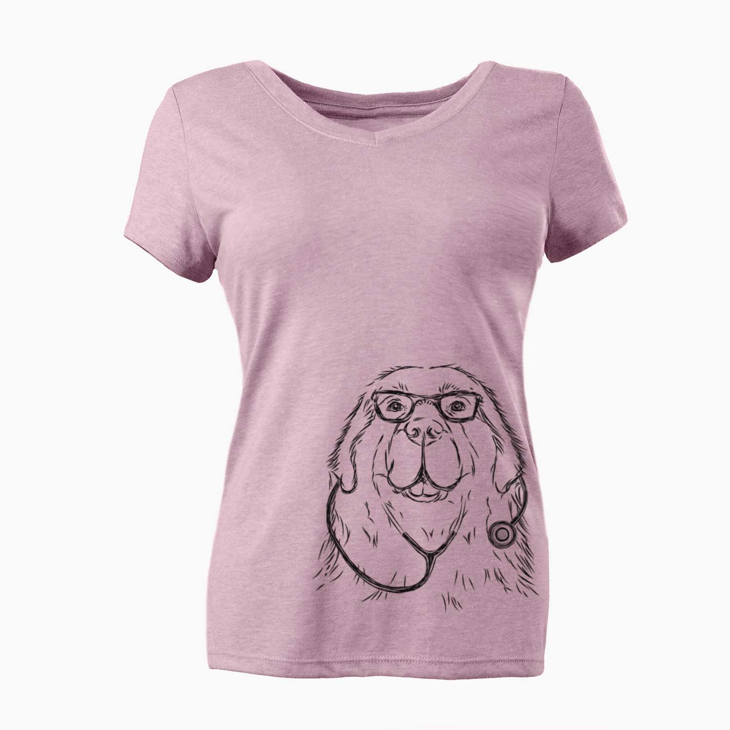 Boomer the Newfoundland - Women's V-neck Shirt
