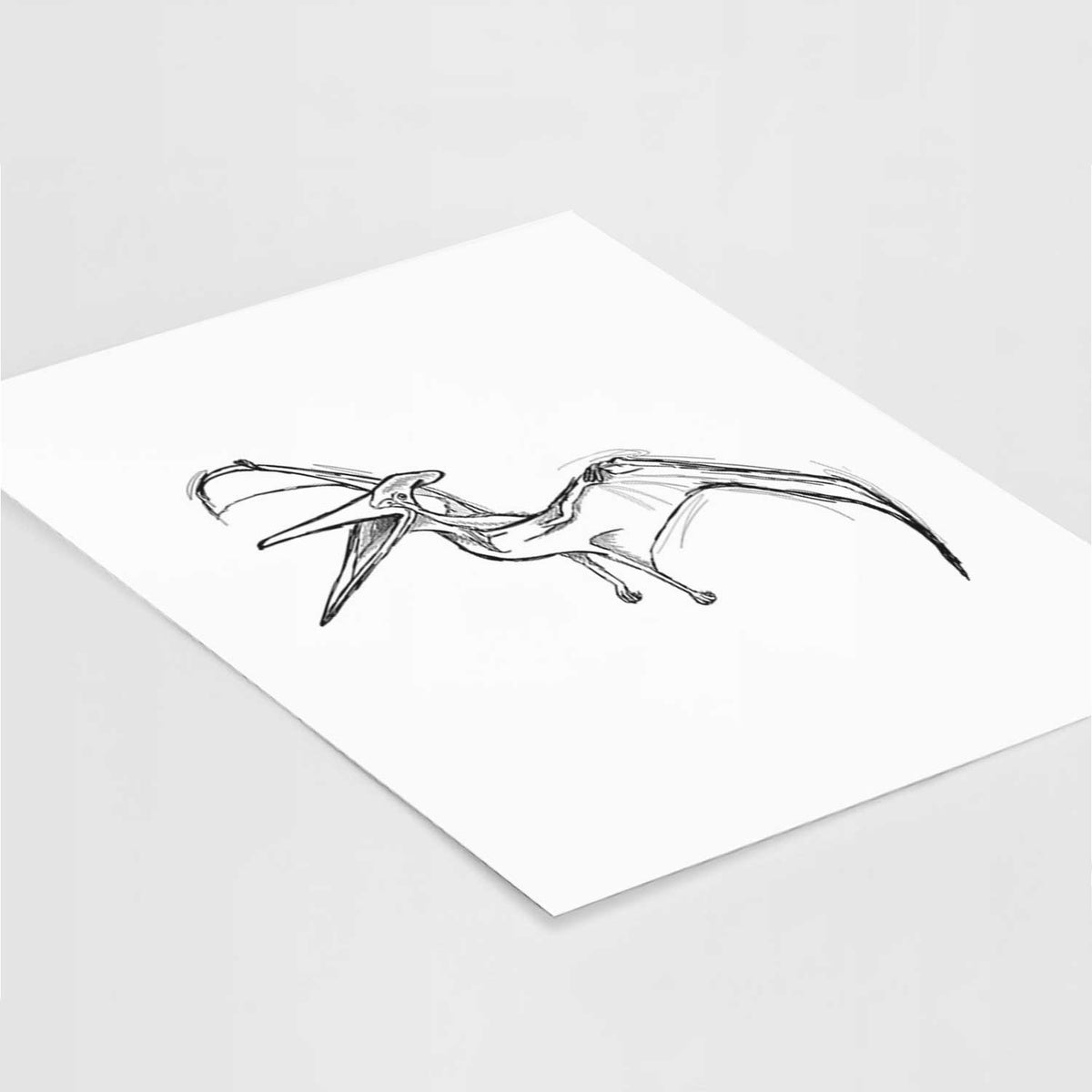 Pteranodon / Pterodactyl / Pterodactylus Art Print
