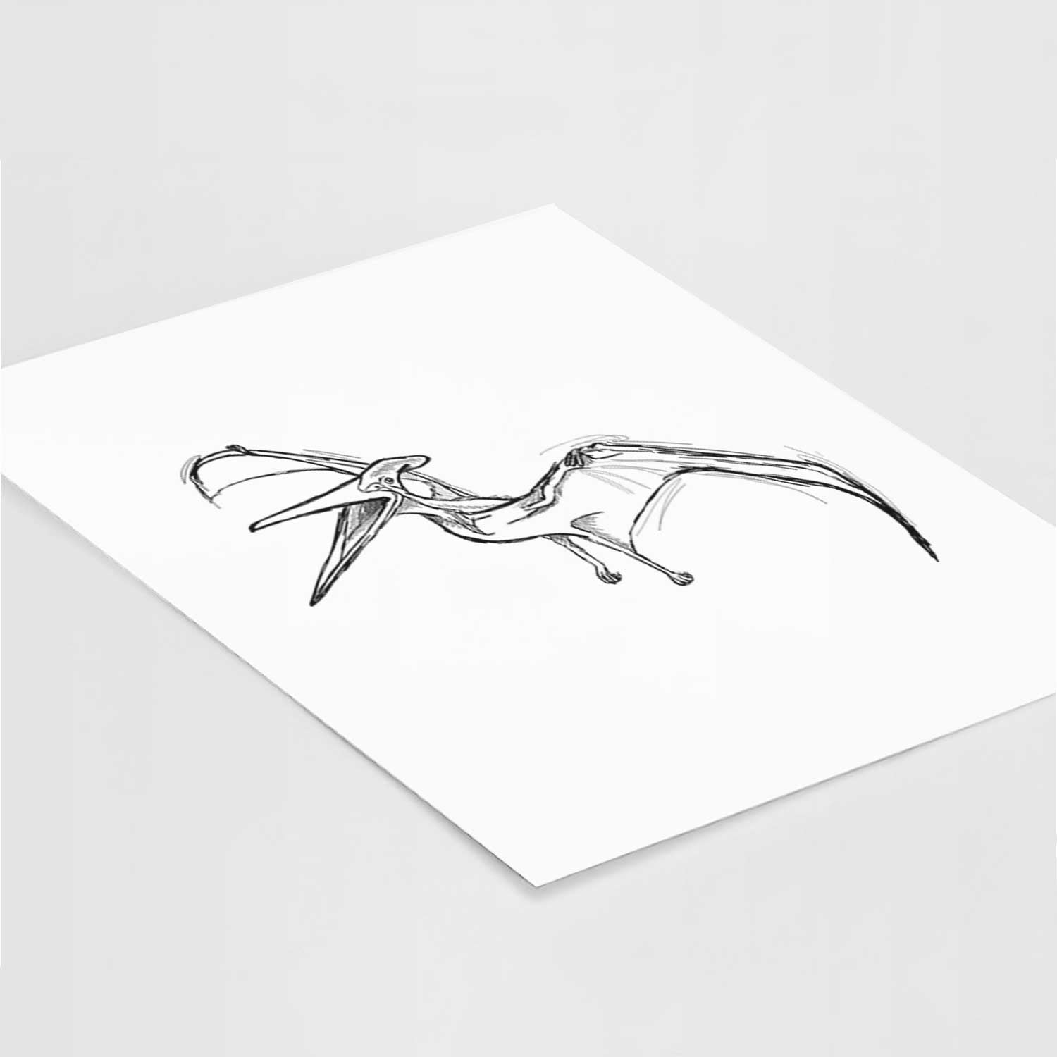 Pteranodon / Pterodactyl / Pterodactylus Art Print