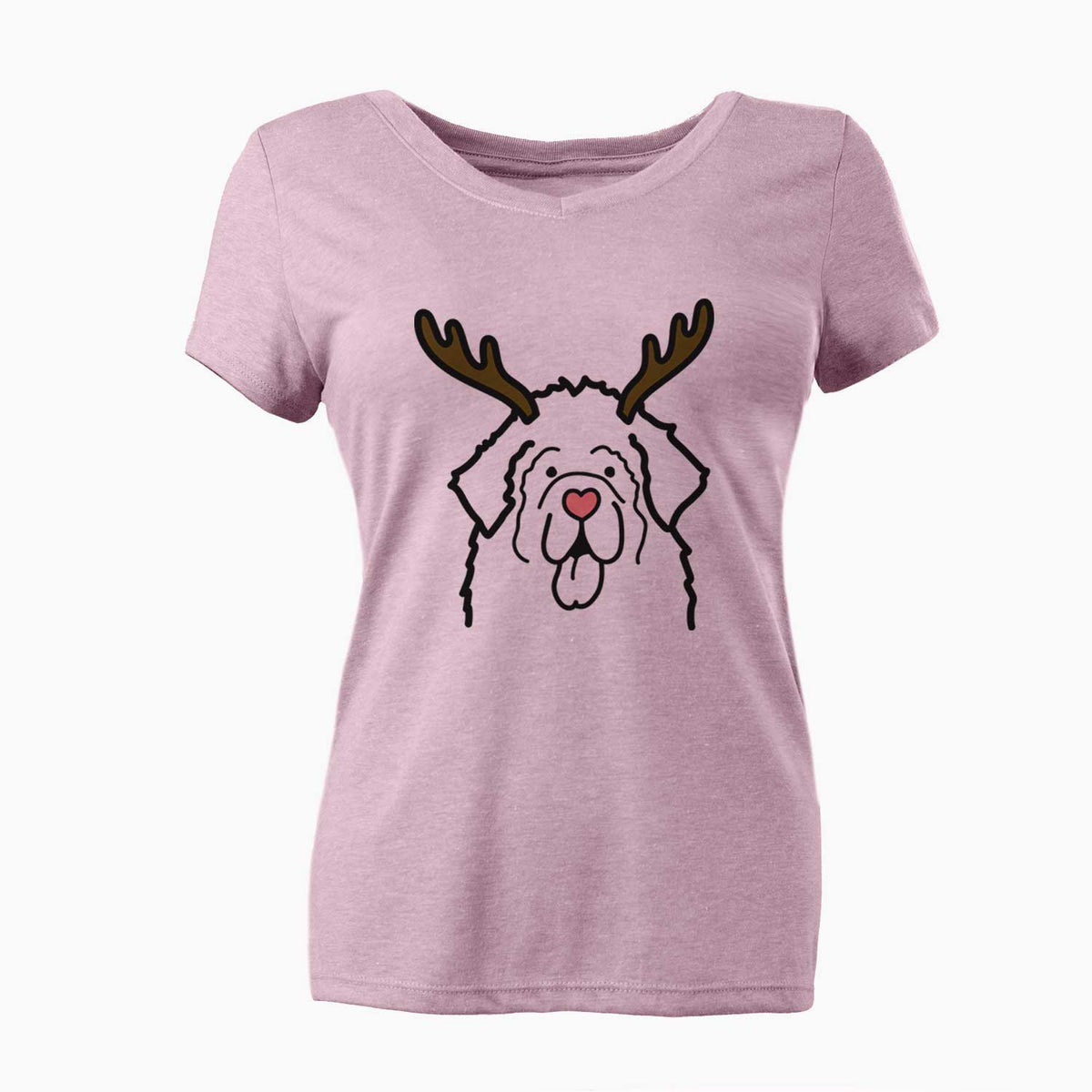 Red Nose Newfoundland - Women's V-neck Shirt