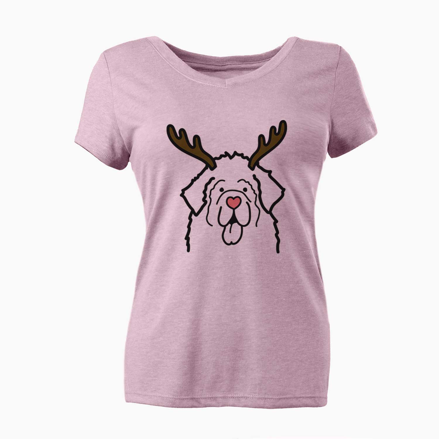 Red Nose Newfoundland - Women's V-neck Shirt