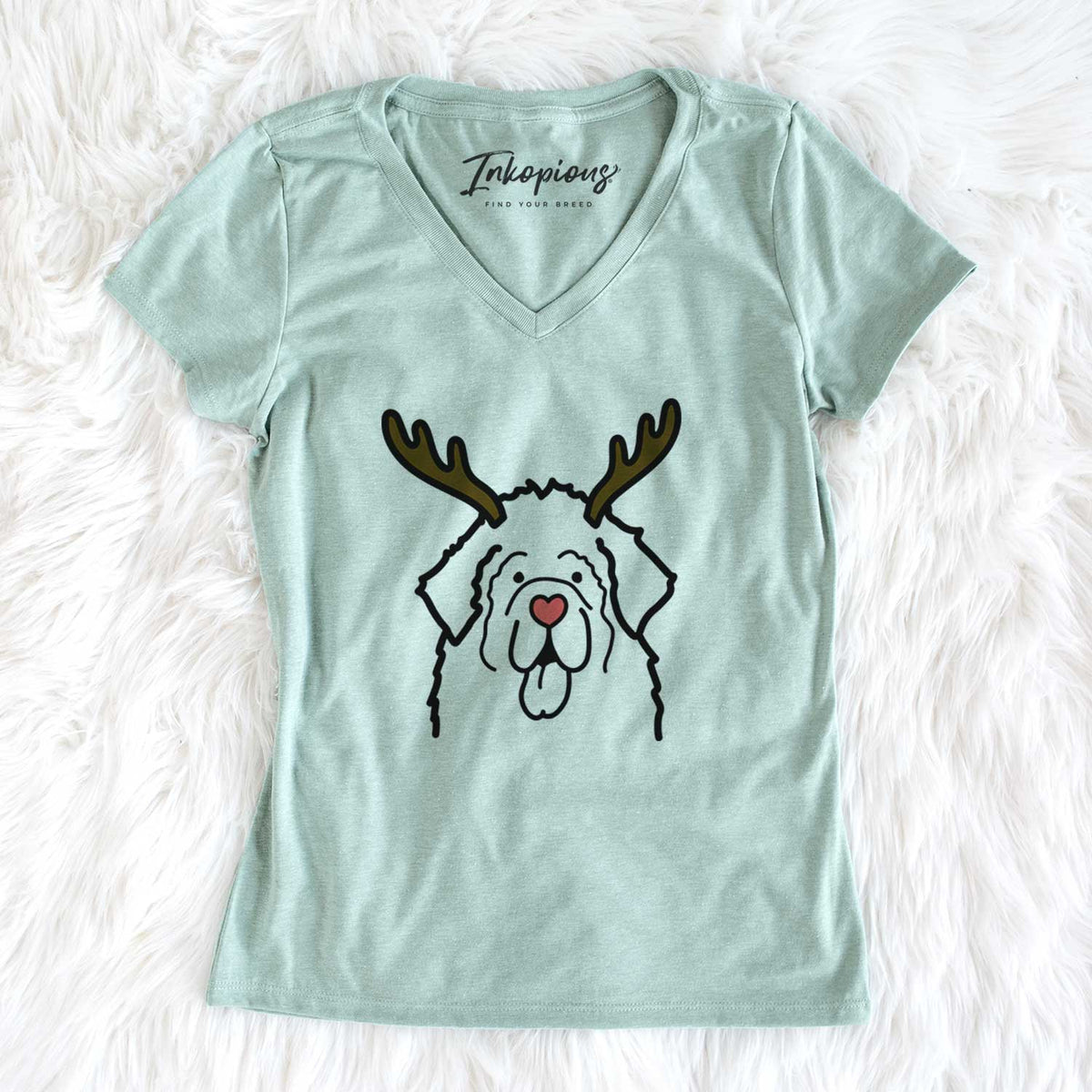 Red Nose Newfoundland - Women's V-neck Shirt