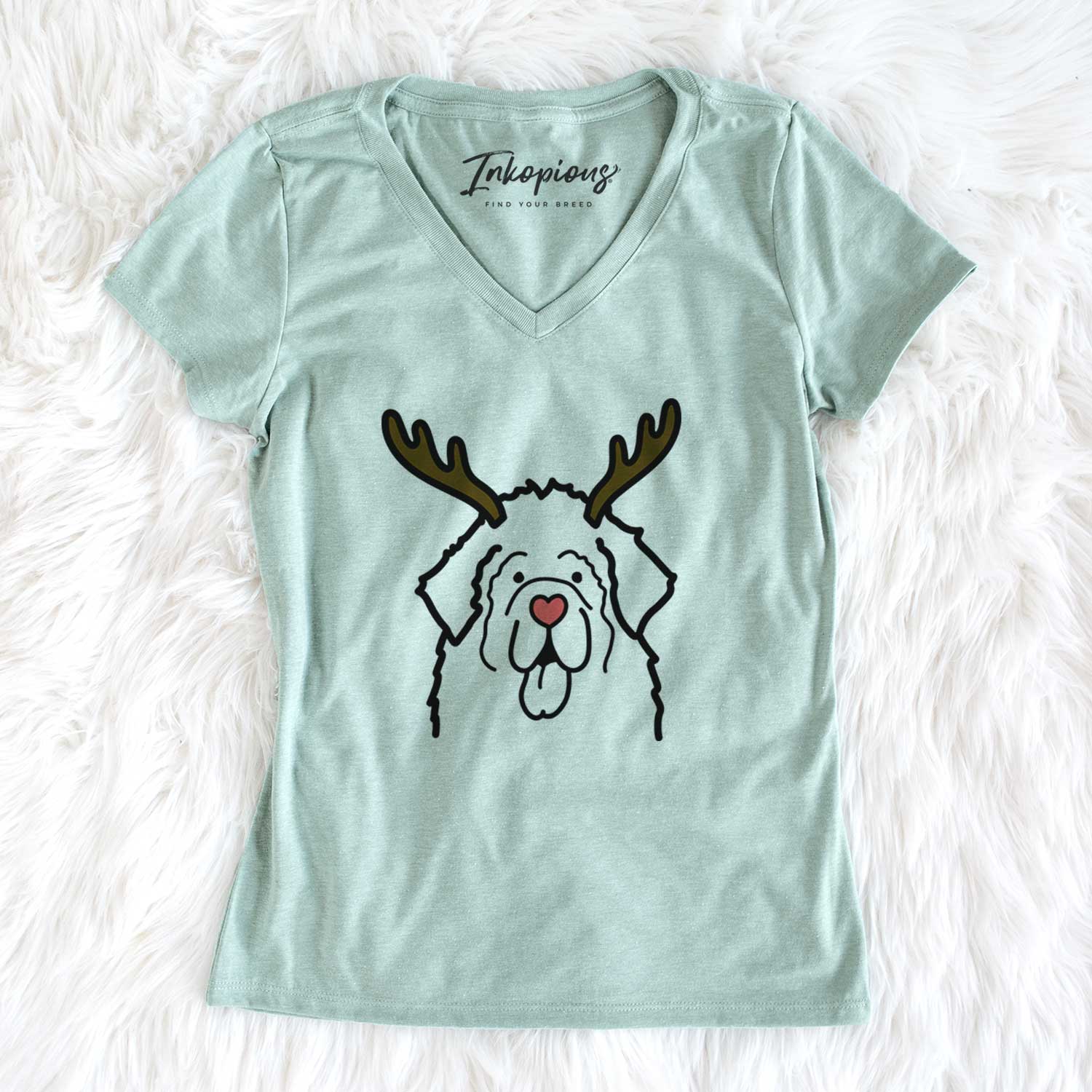 Red Nose Newfoundland - Women's V-neck Shirt