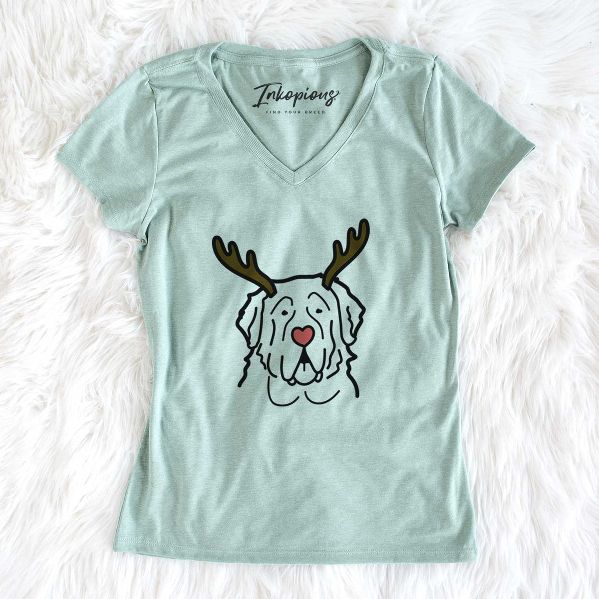 Red Nose Saint Bernard - Women's V-neck Shirt