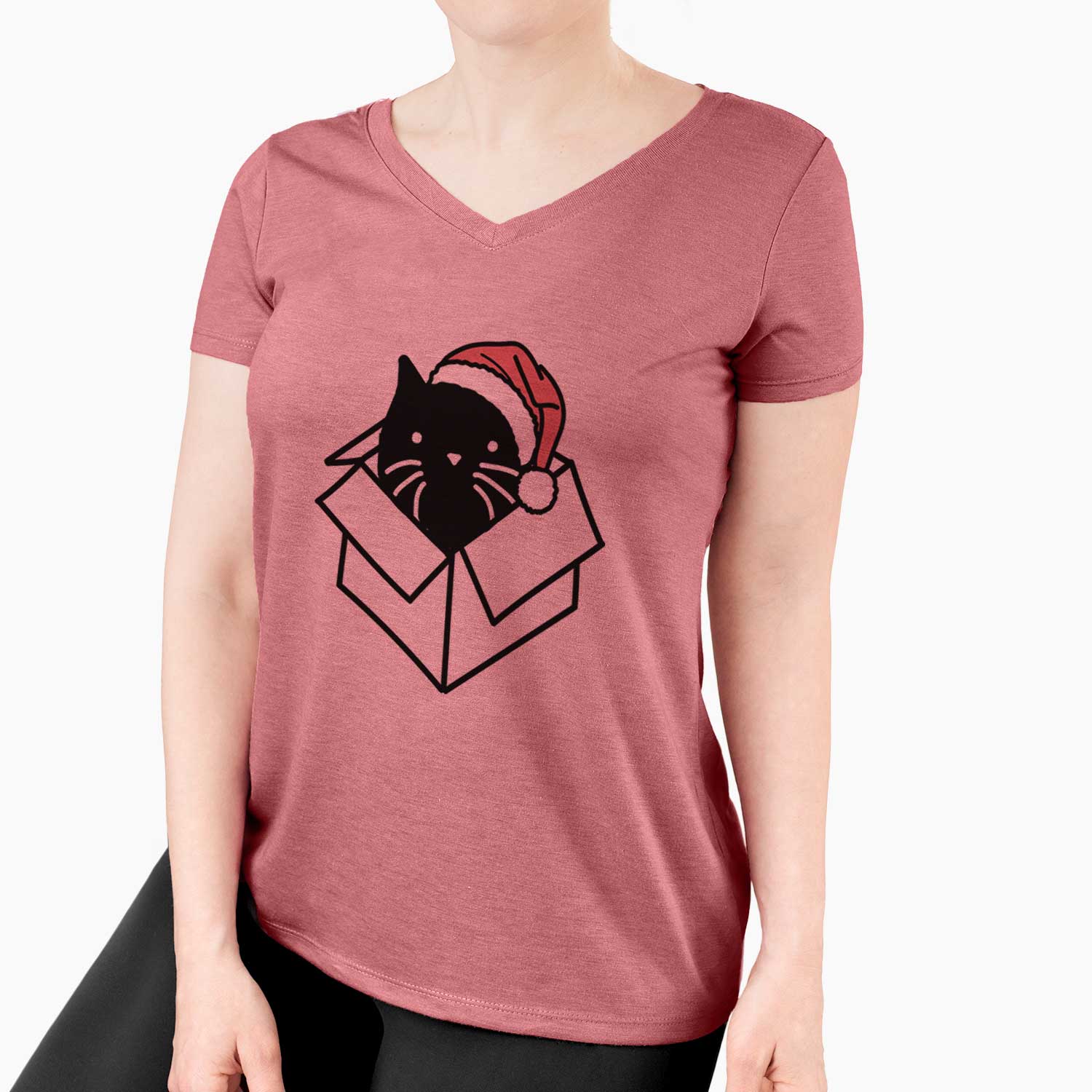 Jolly Black Cat in a Box - Doc - Women's V-neck Shirt