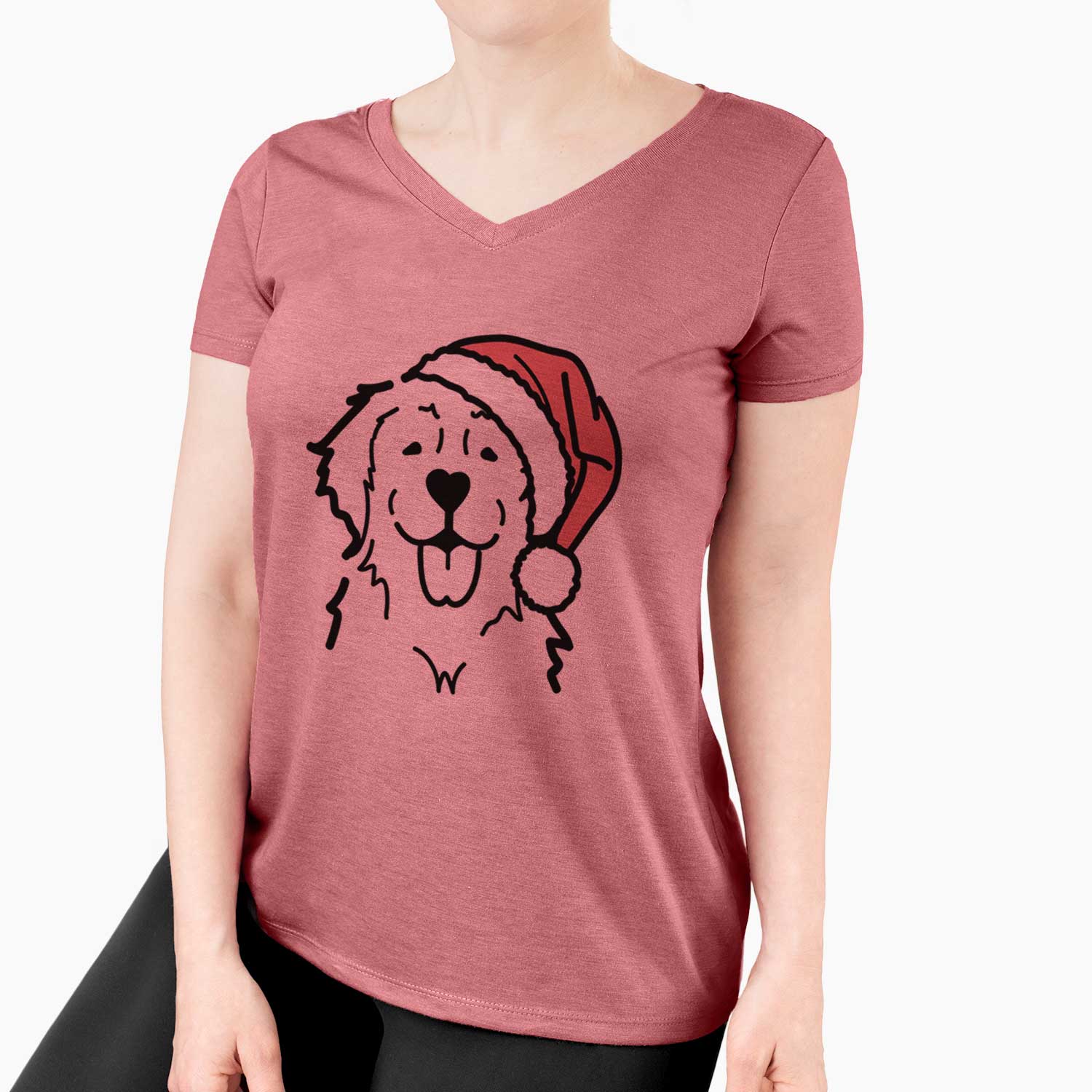 Jolly Golden Retriever - Women's V-neck Shirt