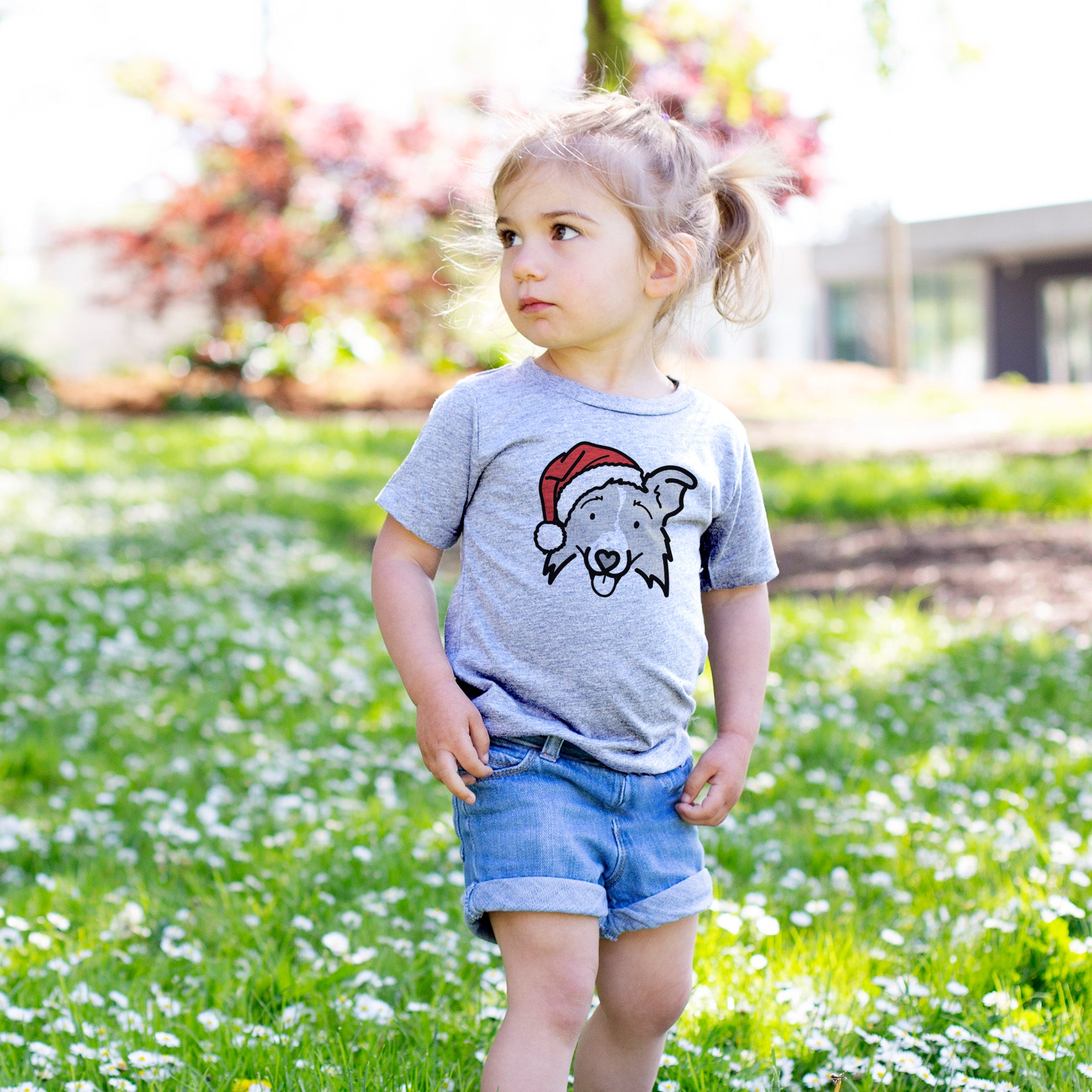 Jolly Border Collie 2.0 - Jam - Kids/Youth/Toddler Shirt