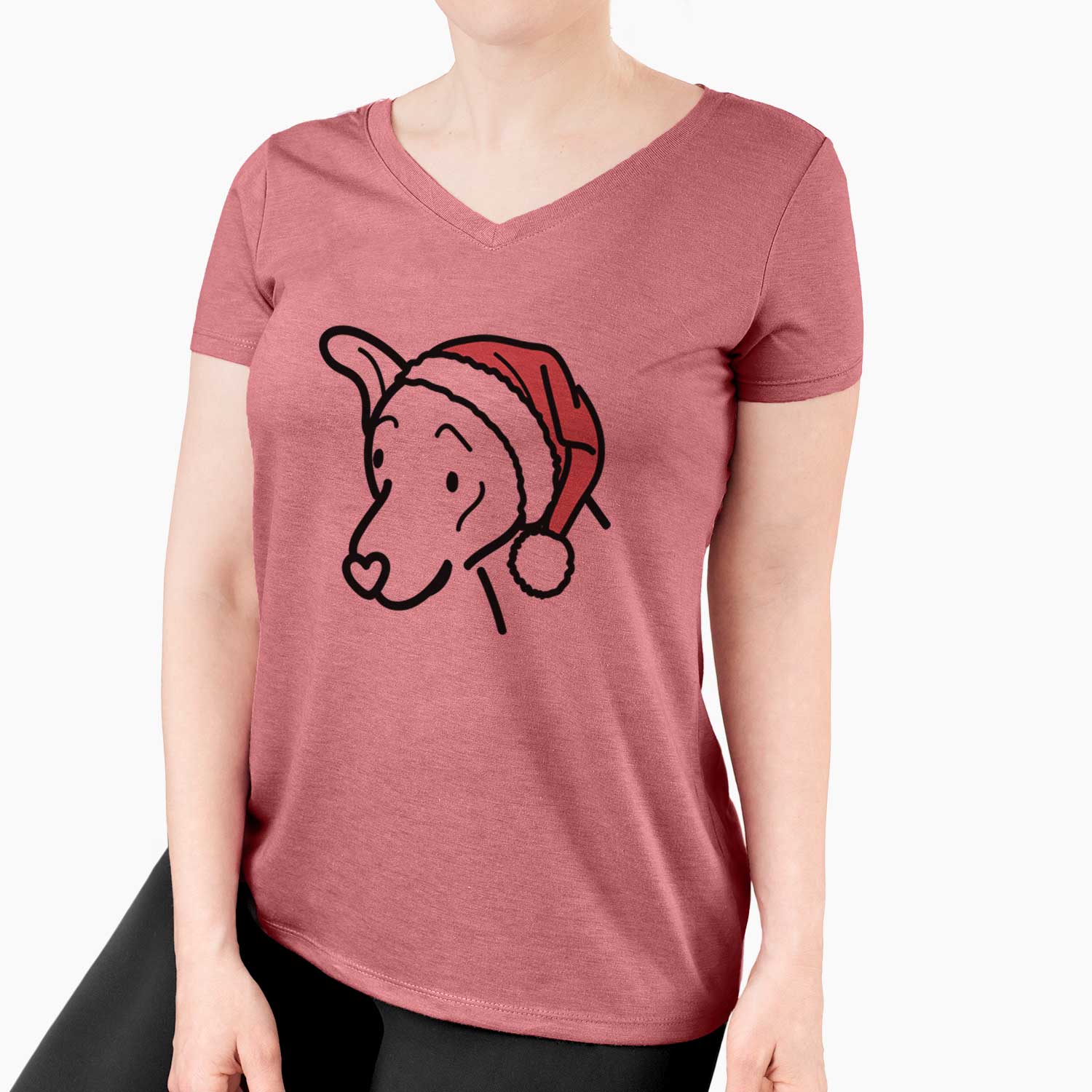 Jolly Mixed Breed - Lucky - Women's V-neck Shirt