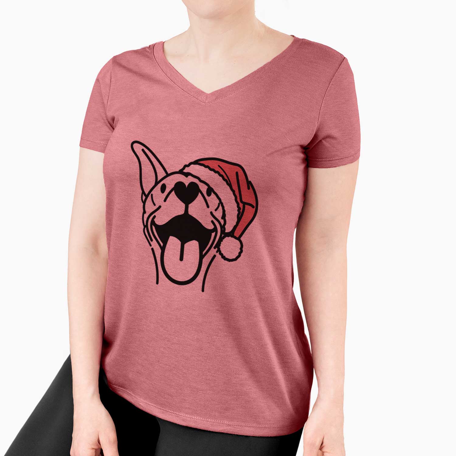 Jolly Basenji - Merlin - Women's V-neck Shirt