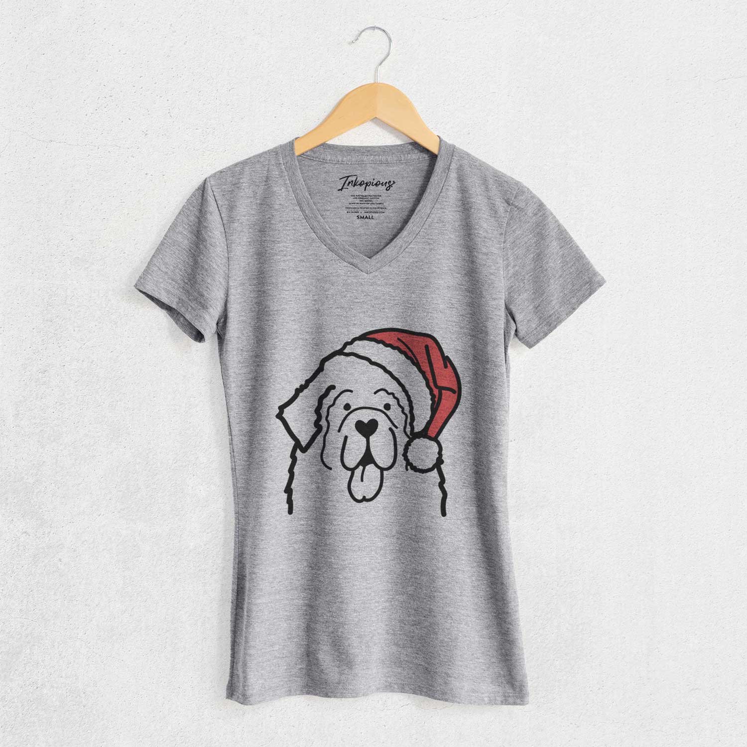 Jolly Newfoundland - Women's V-neck Shirt