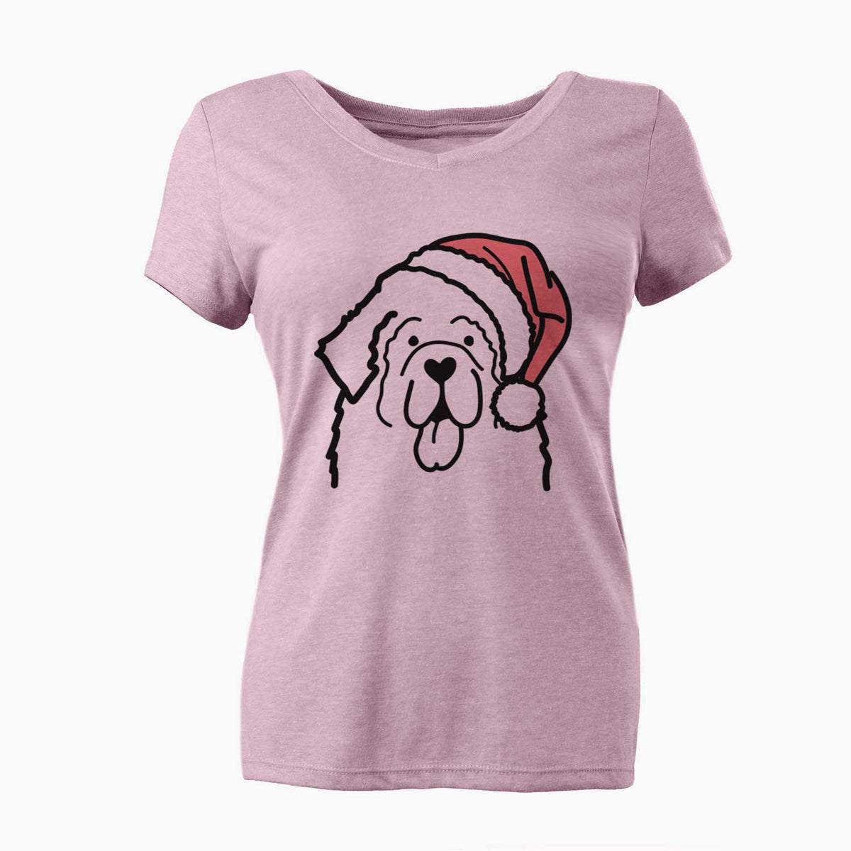 Jolly Newfoundland - Women's V-neck Shirt