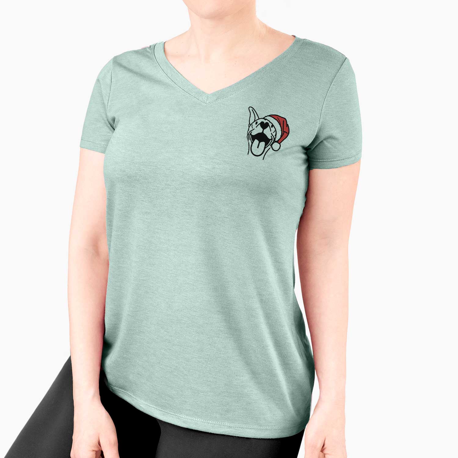 Jolly Basenji - Merlin - Women's V-neck Shirt