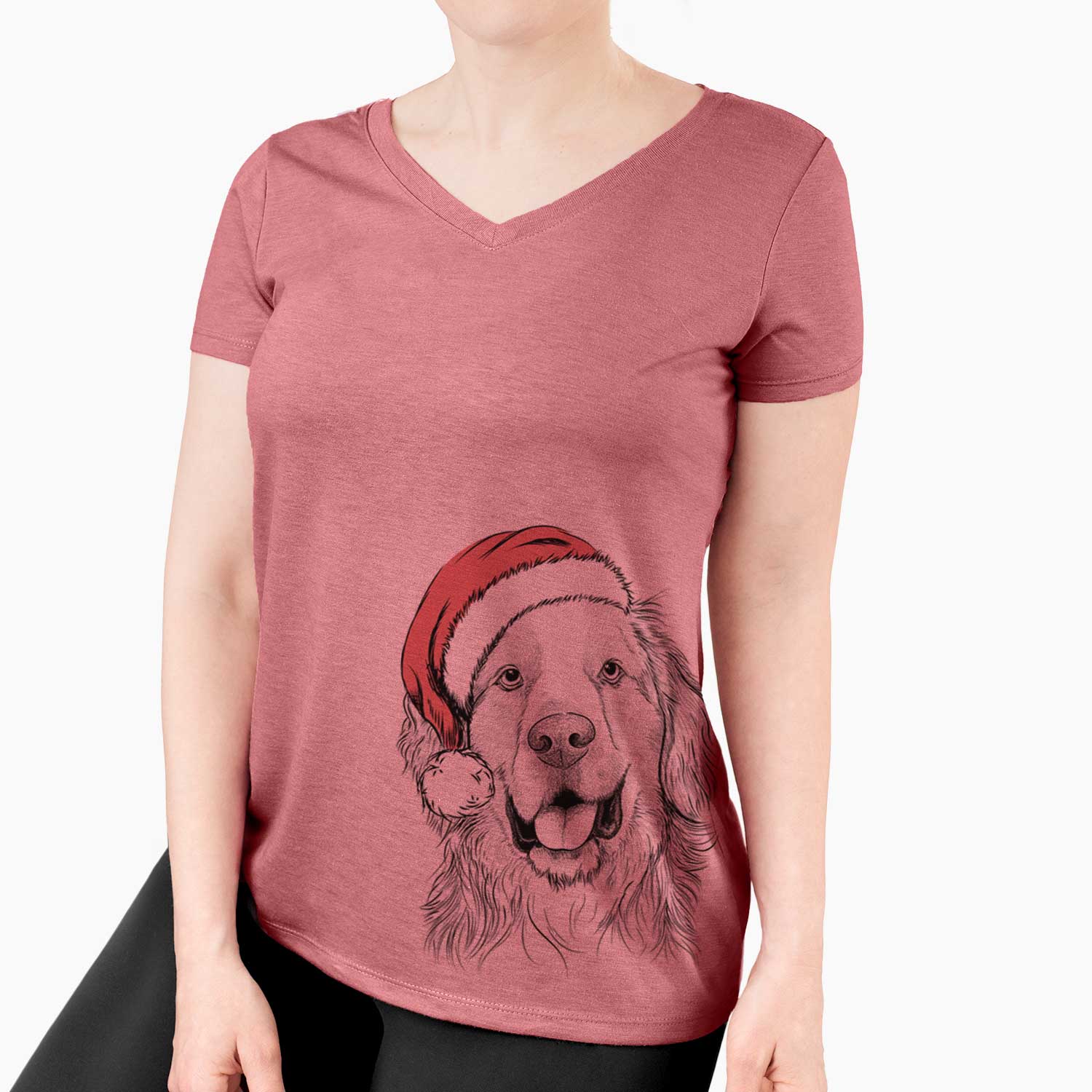 Santa Archie Benjamin the Mixed Breed - Women's V-neck Shirt