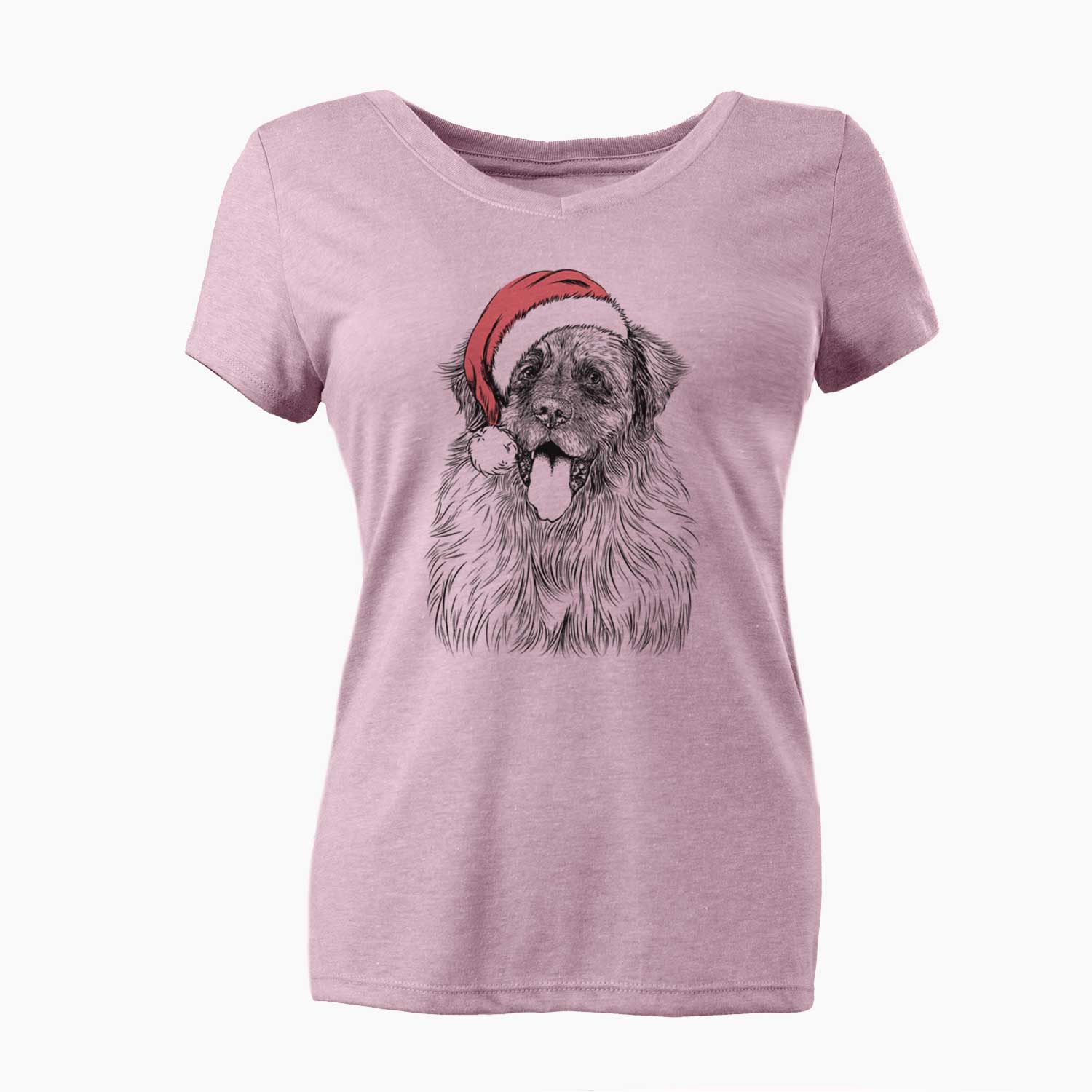 Santa Bamboo the Leonberger - Women's V-neck Shirt