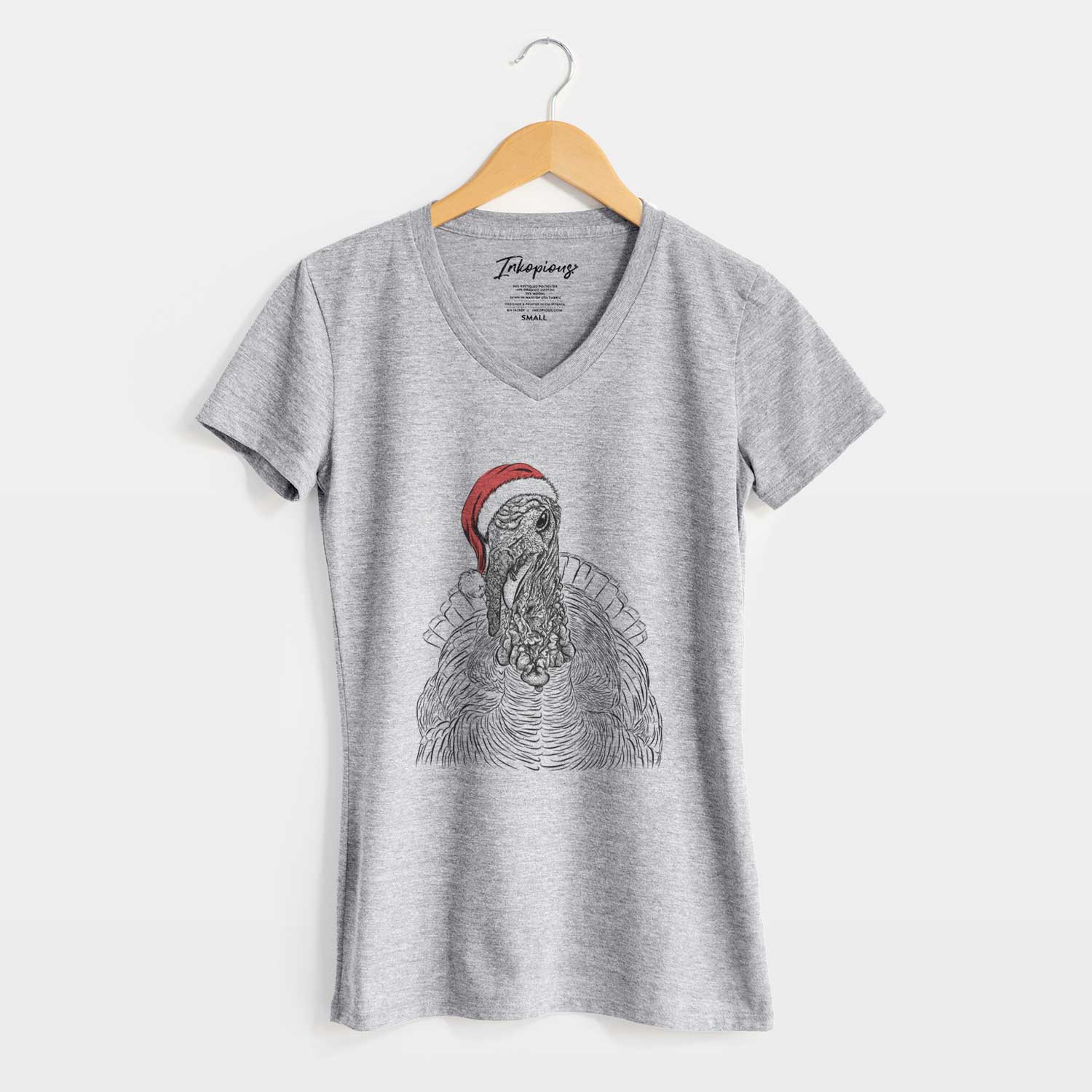 Santa Brady the Turkey - Women's V-neck Shirt