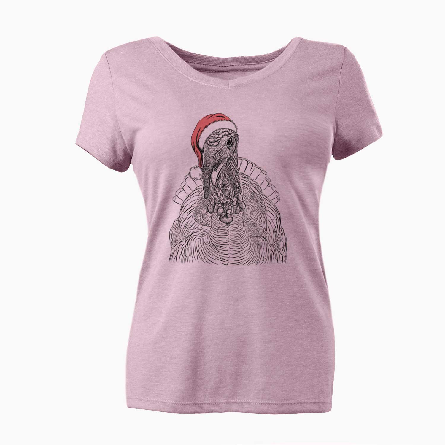 Santa Brady the Turkey - Women's V-neck Shirt