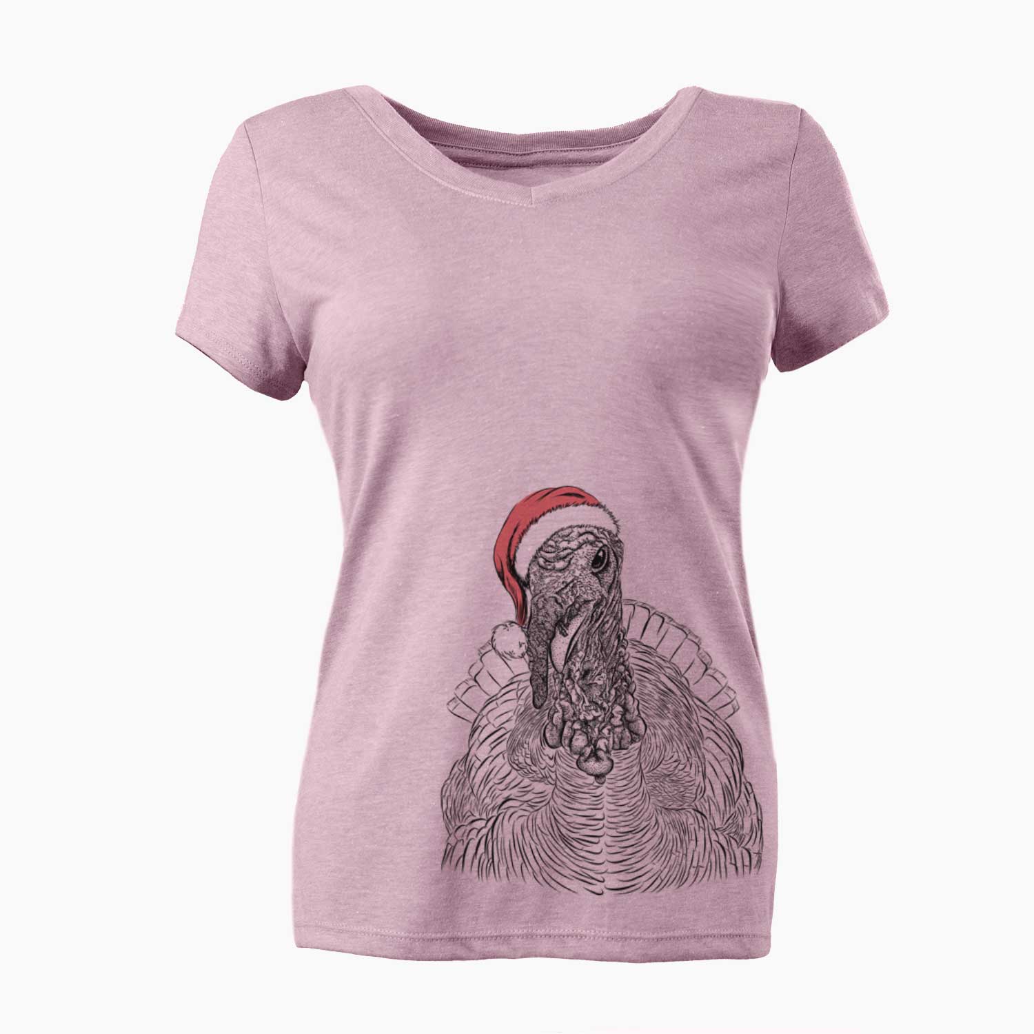 Santa Brady the Turkey - Women's V-neck Shirt