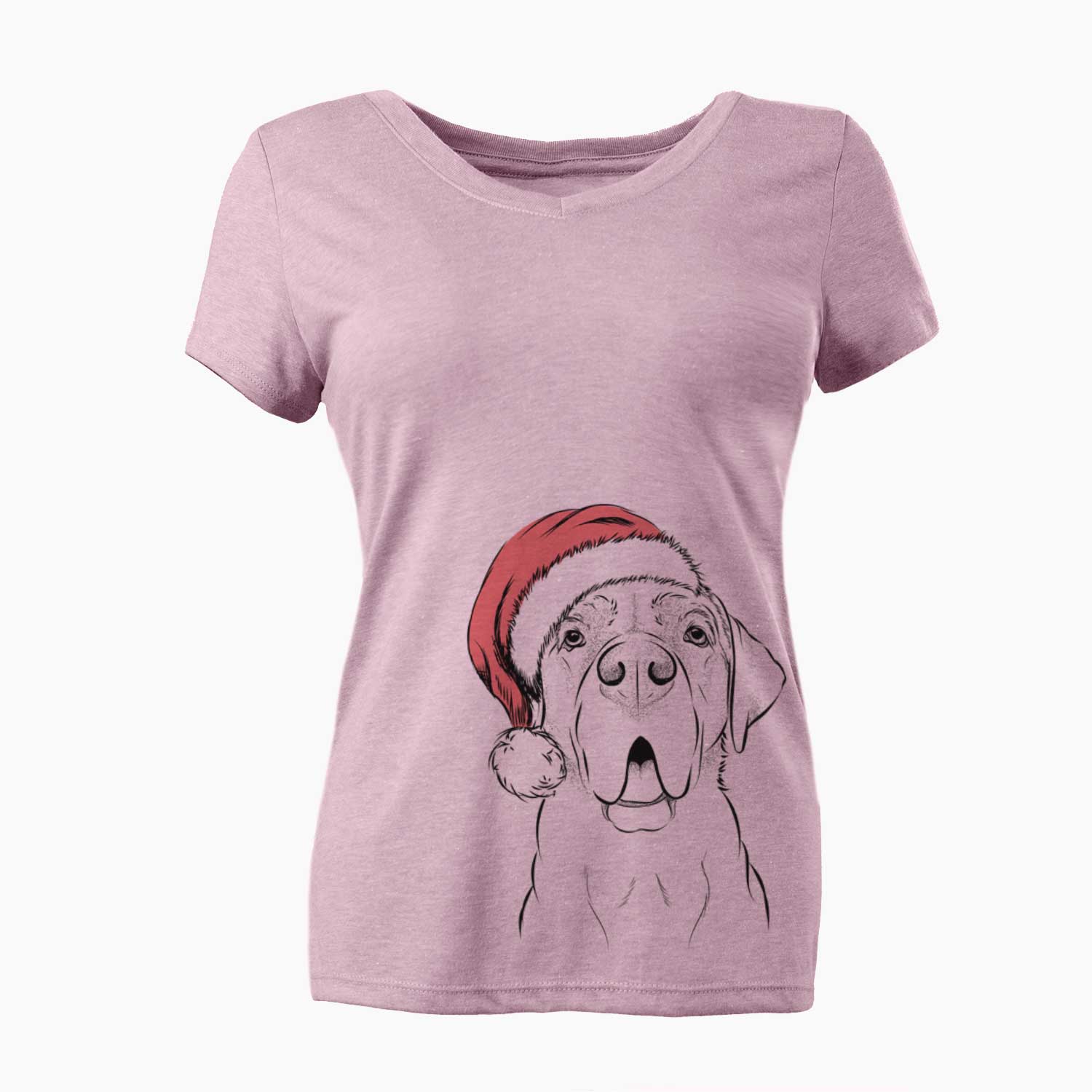 Ceasar the Labrador Hound Mix - Women's V-neck Shirt