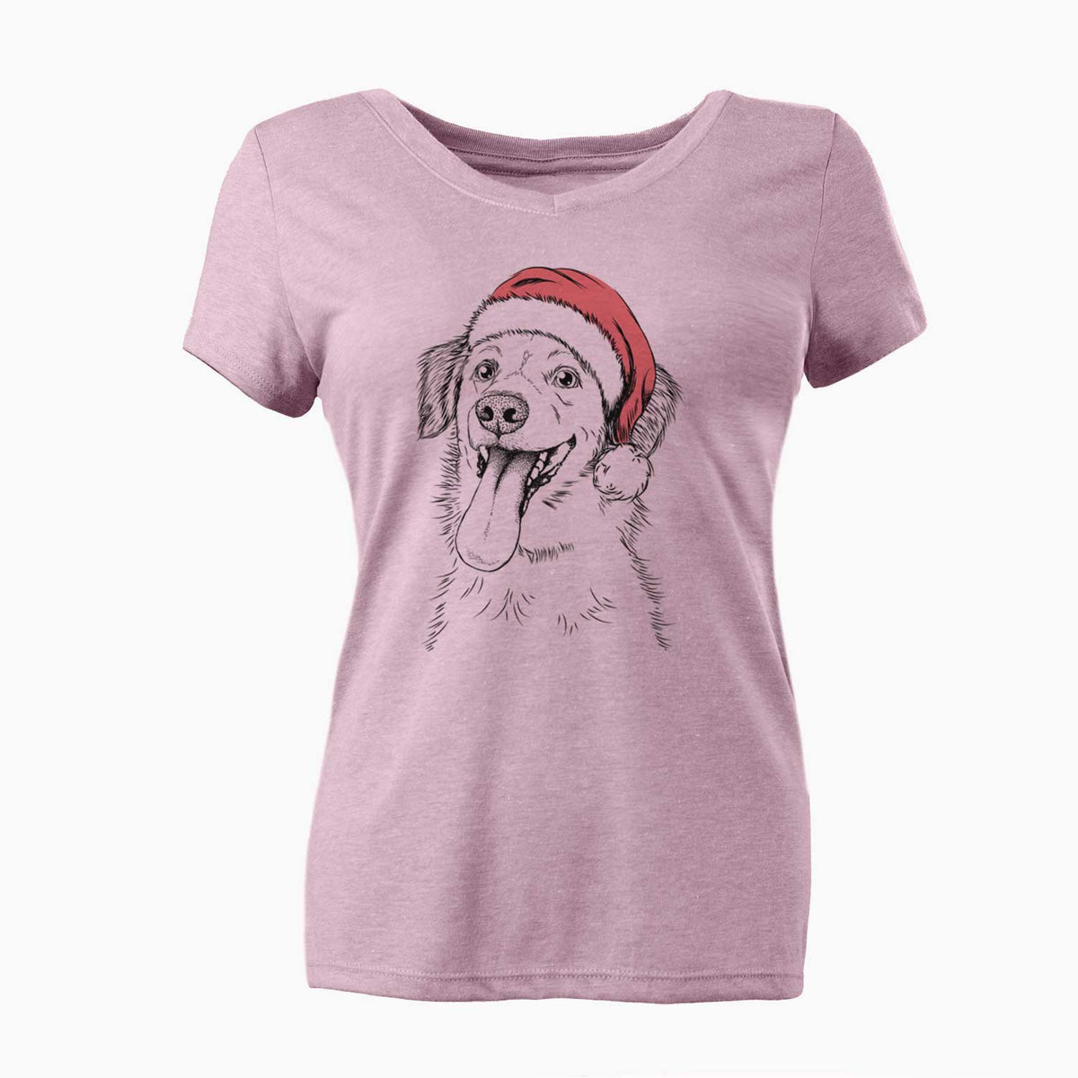 Santa Charles Xavier the Mixed Breed - Women's V-neck Shirt