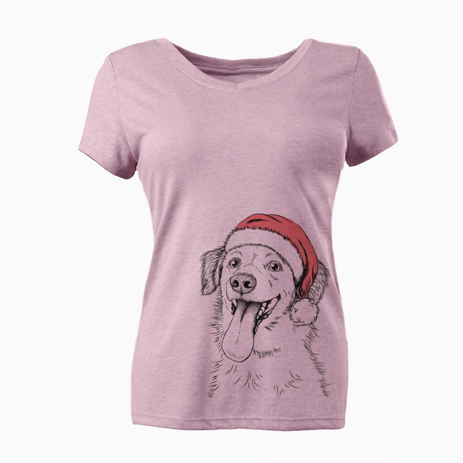 Santa Charles Xavier the Mixed Breed - Women's V-neck Shirt