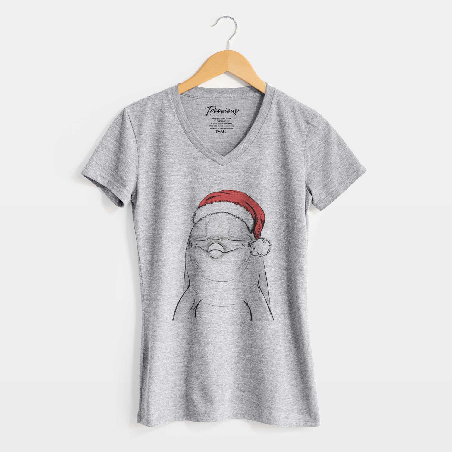 Santa Dave the Dolphin - Women's V-neck Shirt