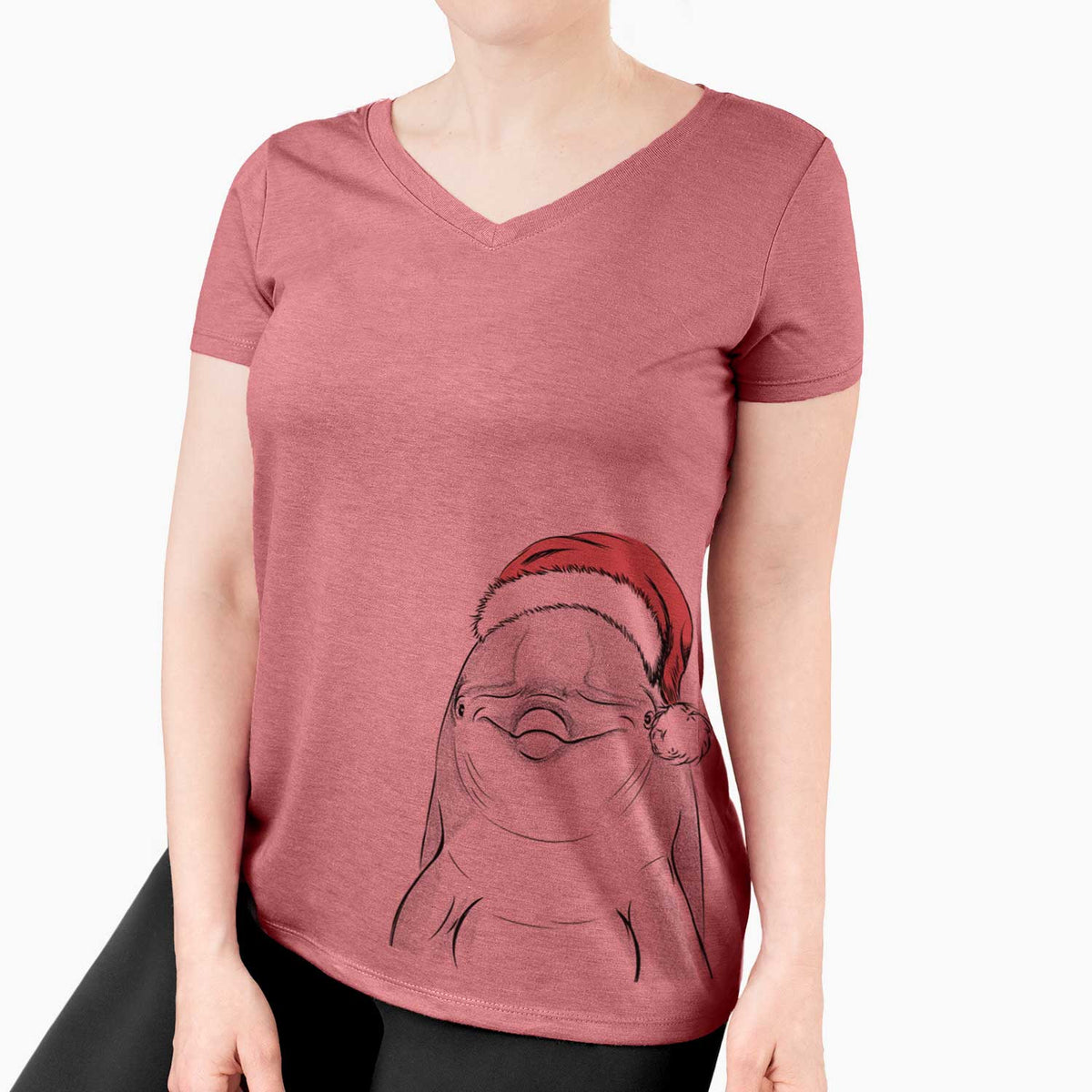 Santa Dave the Dolphin - Women's V-neck Shirt