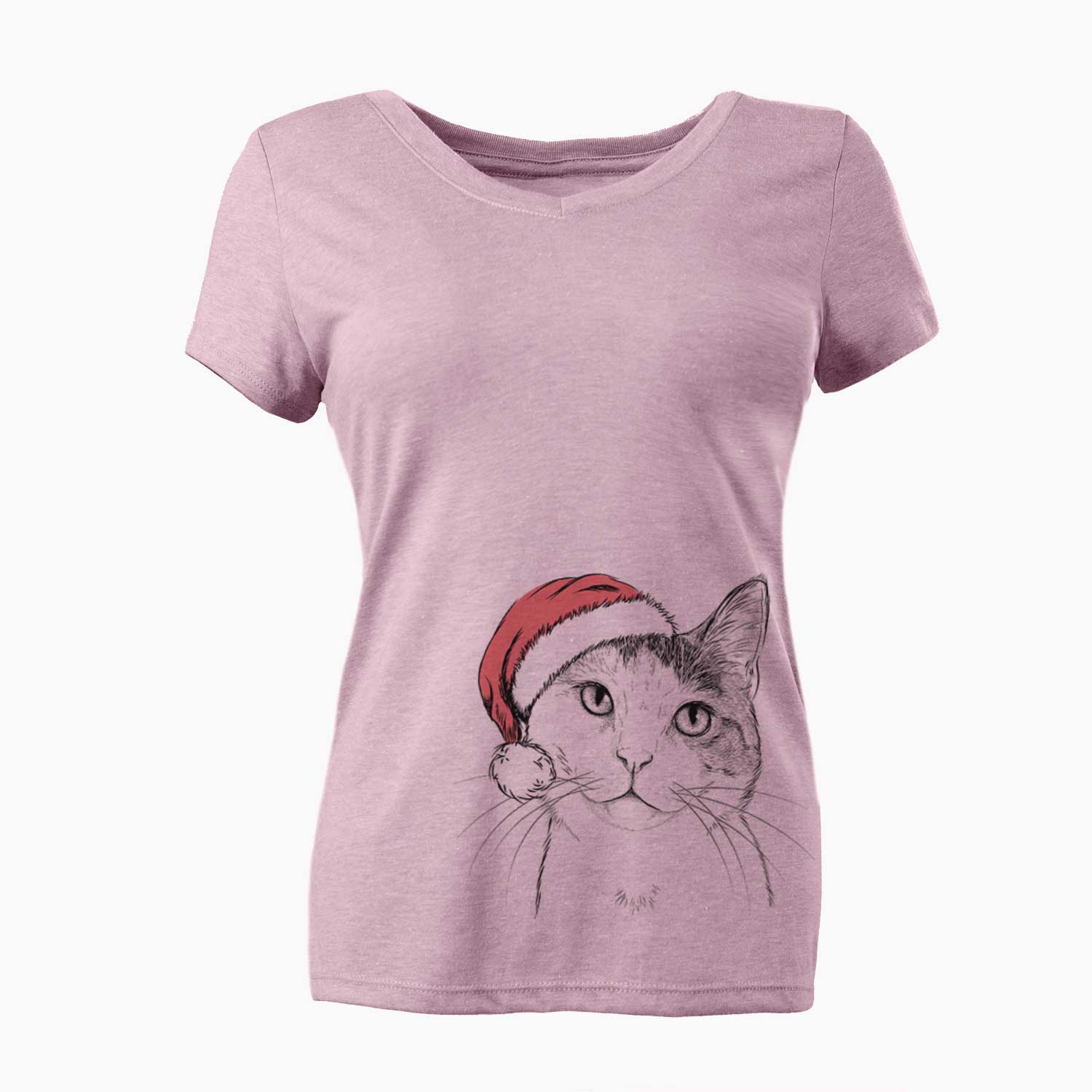 Denver the Calico Cat - Women's V-neck Shirt
