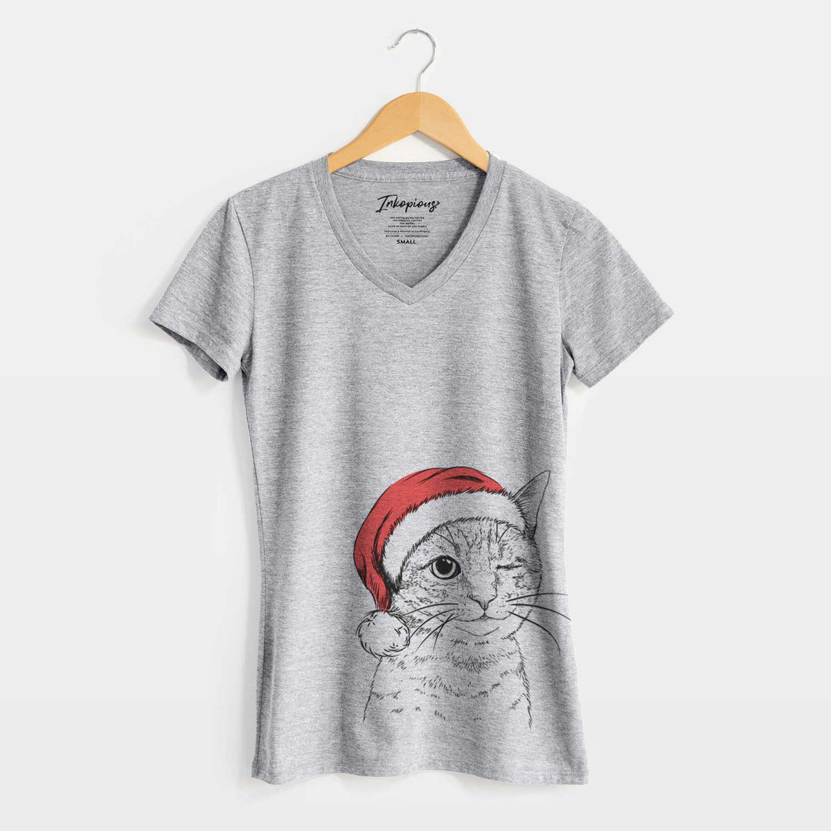 Santa Dexter the Domestic Shorthair - Women's V-neck Shirt