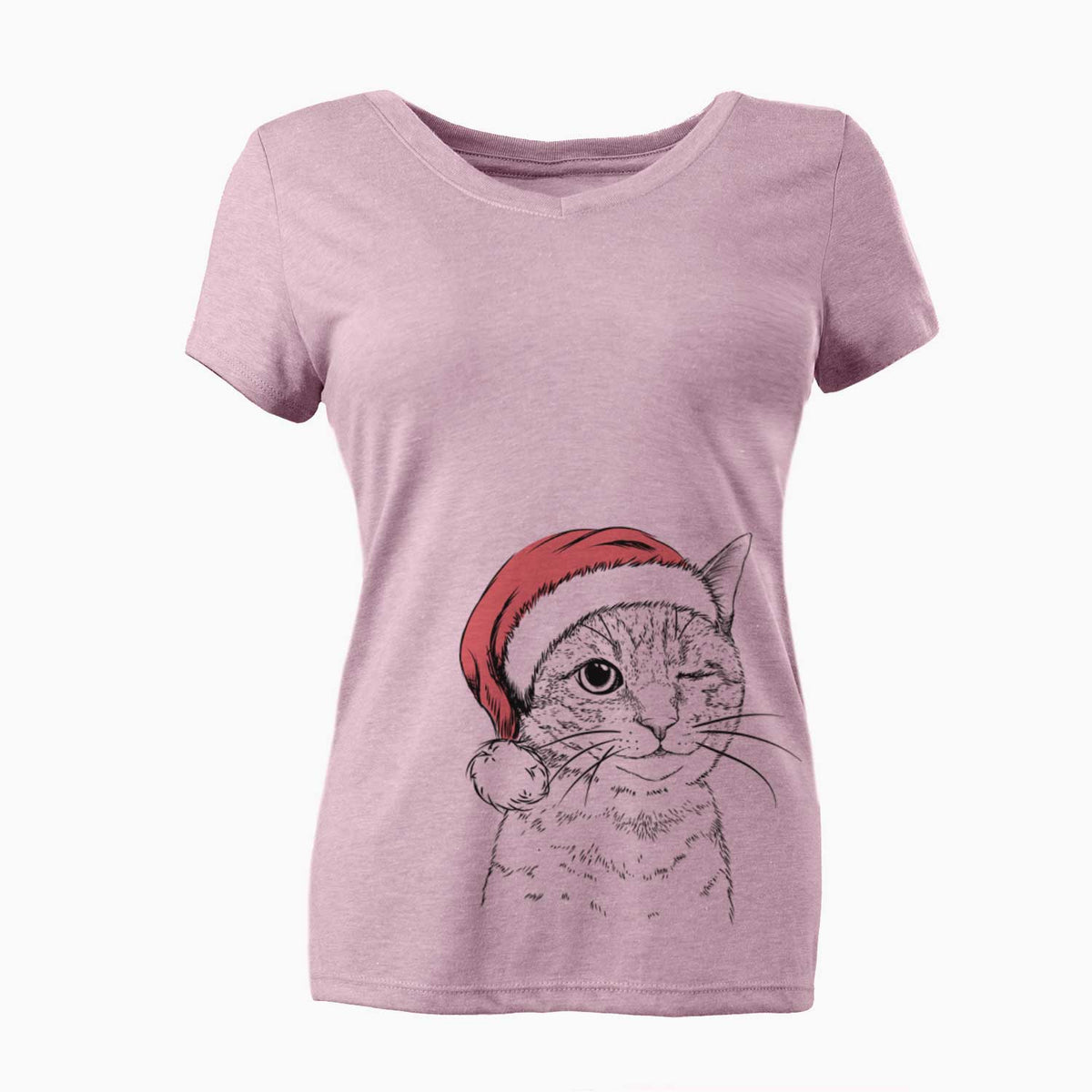 Santa Dexter the Domestic Shorthair - Women's V-neck Shirt