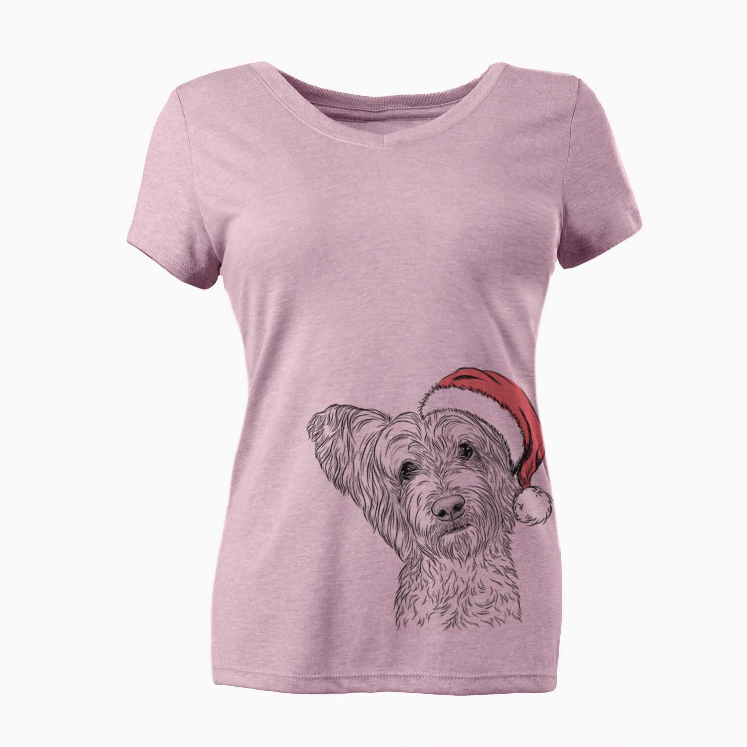 Santa Dexter the Terrier Mix - Women's V-neck Shirt