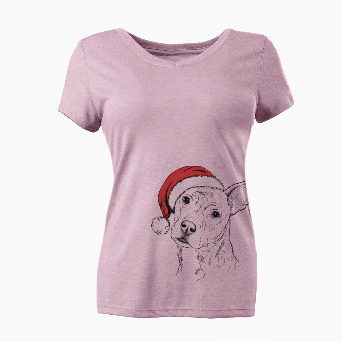 Santa Diesel the Mixed Breed - Women's Perfect V-neck Shirt