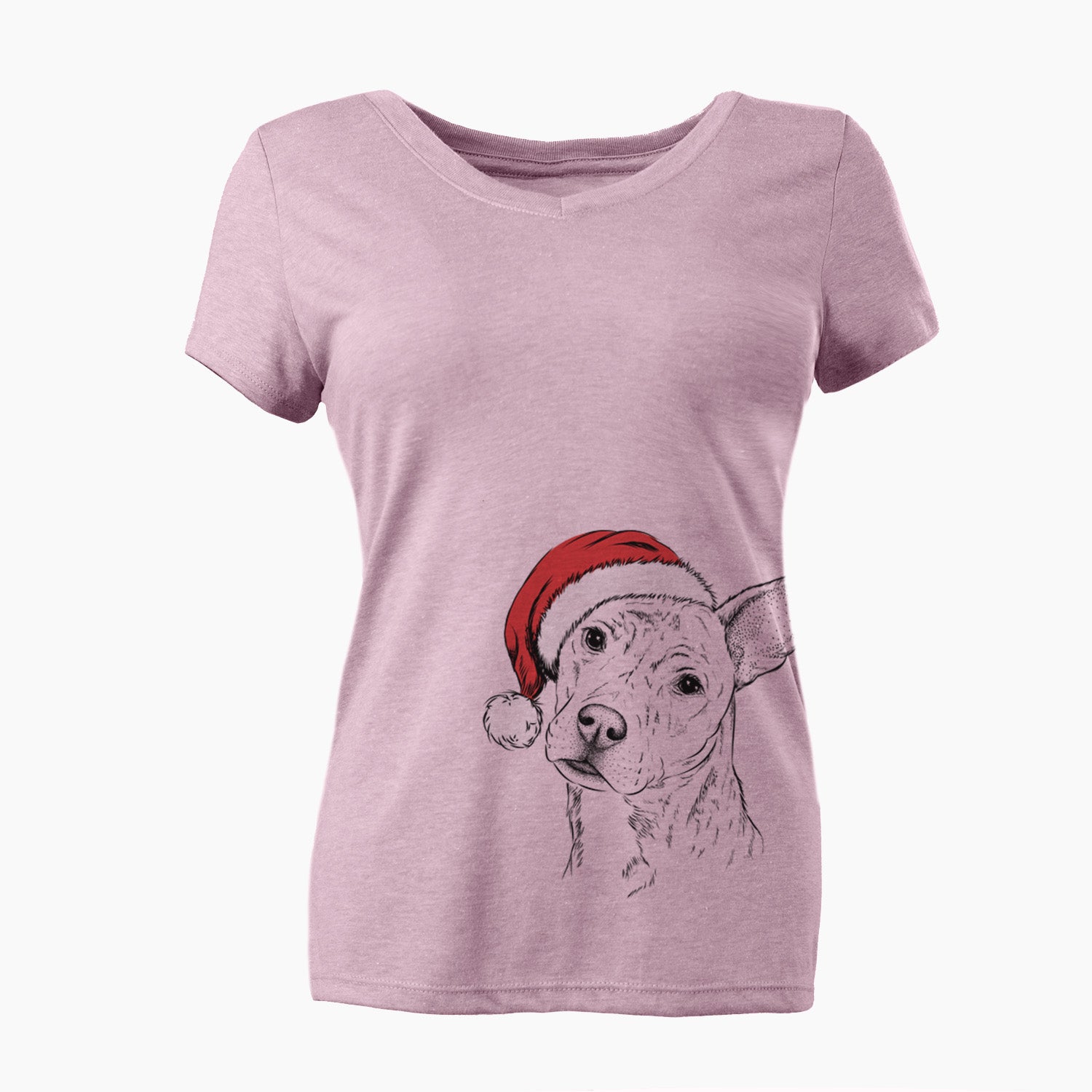 Santa Diesel the Mixed Breed - Women's Perfect V-neck Shirt