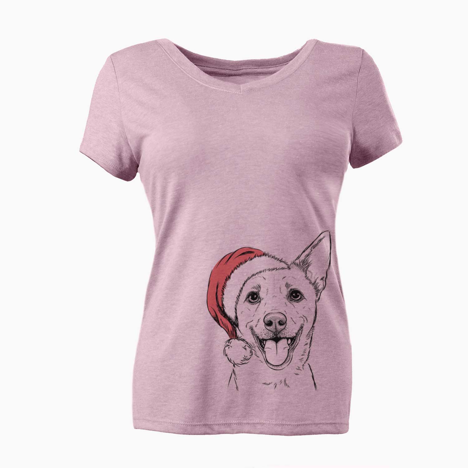 Santa Dinghy the Mixed Breed - Women's V-neck Shirt