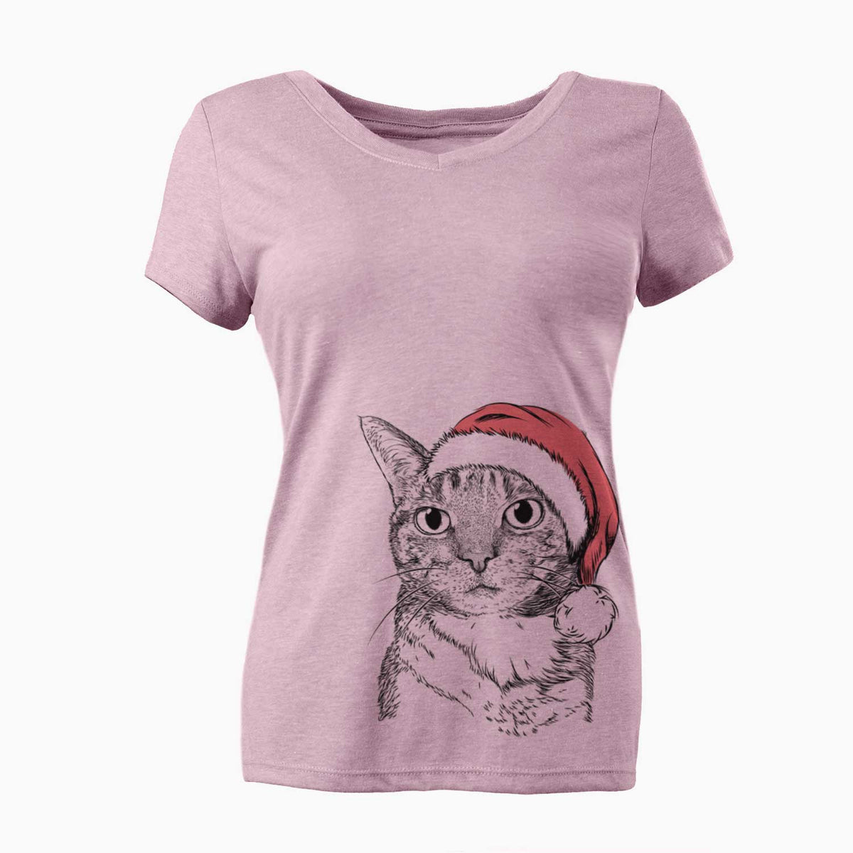 Santa Eleanor the Domestic Shorthair Cat - Women's V-neck Shirt