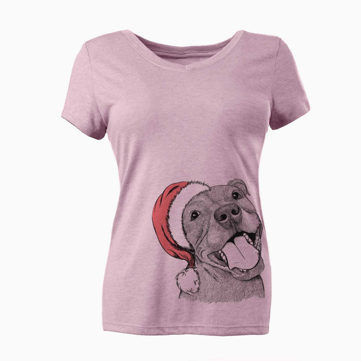 Santa Eloise the Pitbull Mix - Women's V-neck Shirt