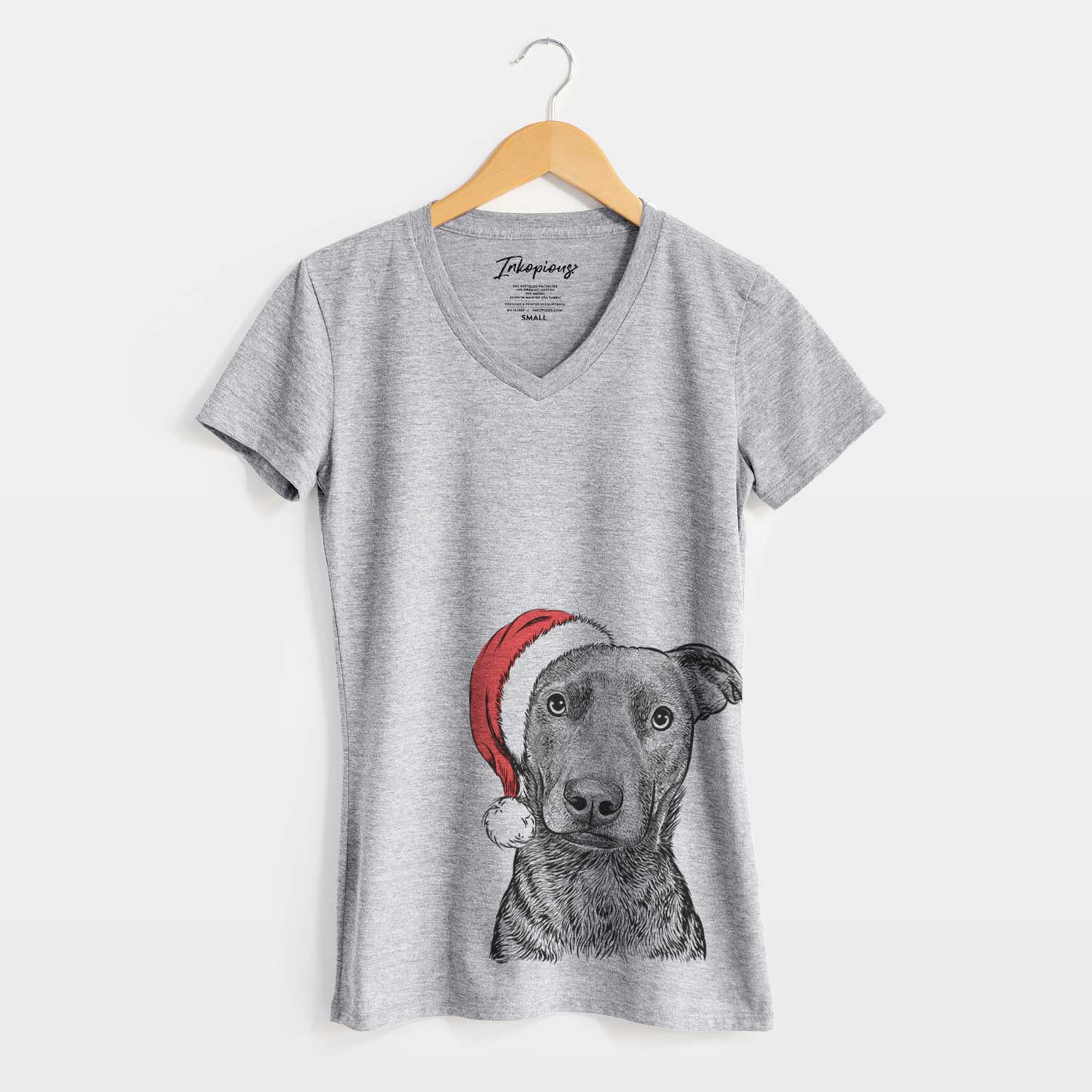 Santa Embyr the Mixed Breed - Women's V-neck Shirt