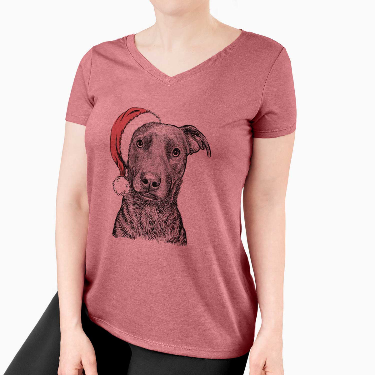 Santa Embyr the Mixed Breed - Women's V-neck Shirt