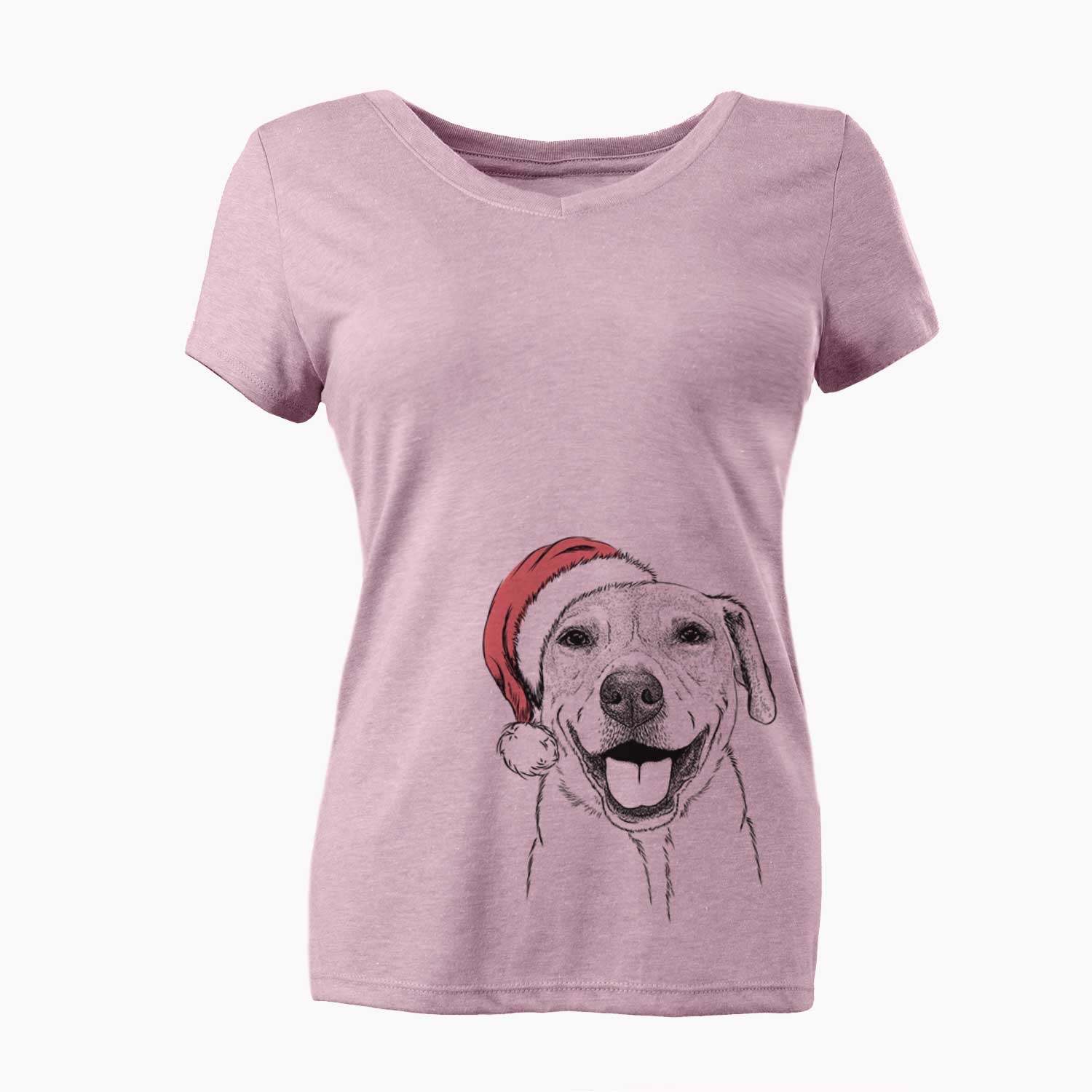 Santa Ernie the Mixed Breed - Women's V-neck Shirt