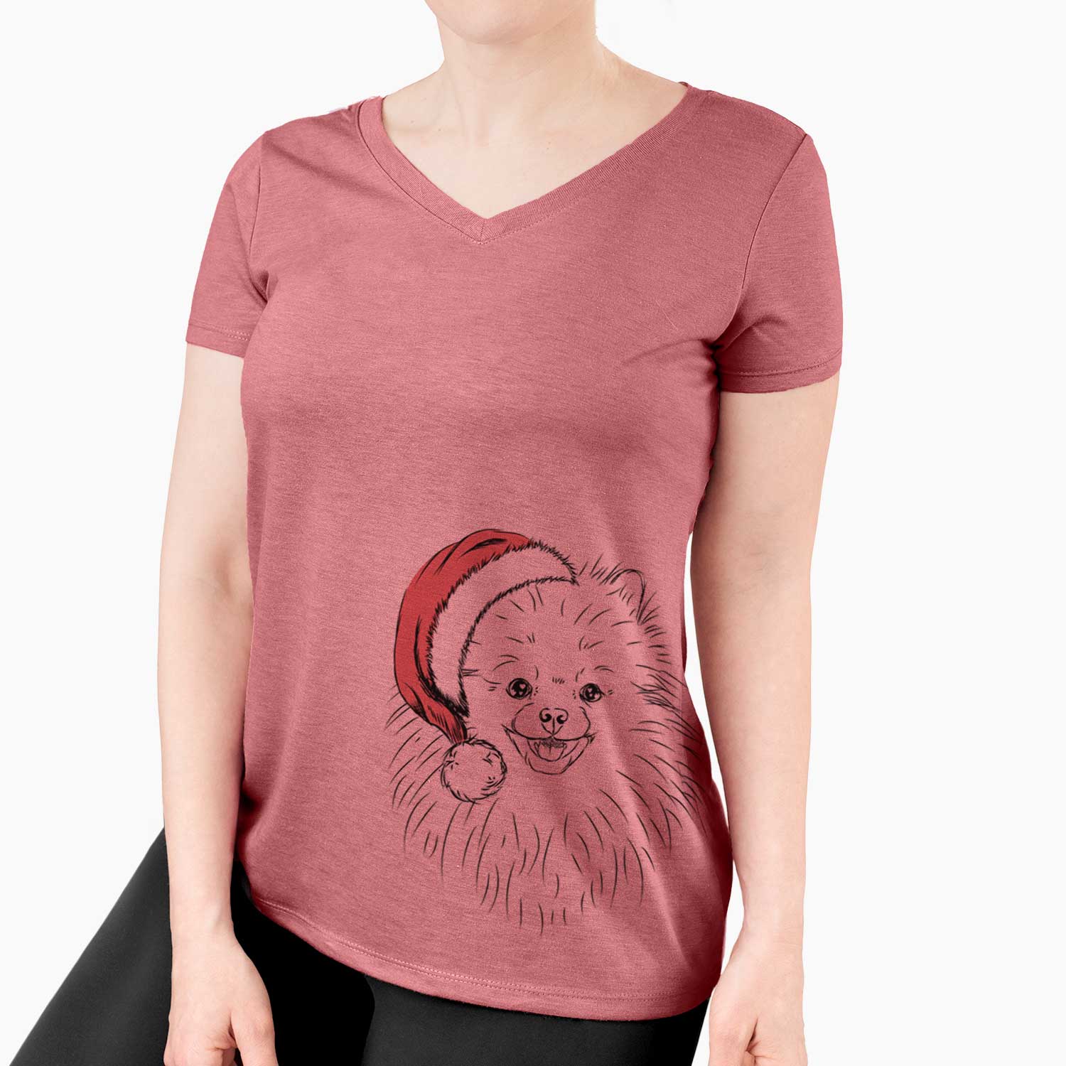 Finn the Pomeranian - Women's V-neck Shirt